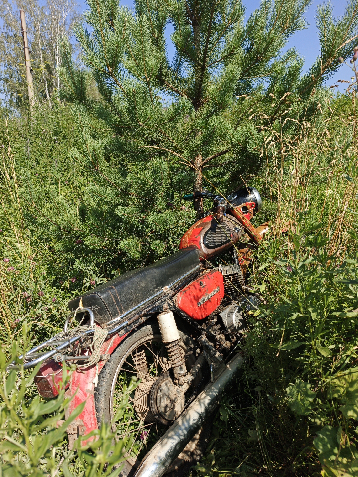 An old, red and black motorcycle is partially hidden among tall green grass and pine branches. The motorcycle appears weathered and possibly abandoned. The scene is outdoors, under a clear blue sky, with hints of birch trees and vegetation in the background. The environment suggests a rural or overgrown area, possibly the outskirts of Urtiushka, Russia. No people are visible in the image. The motorcycle is the primary subject, positioned on its side or leaning heavily amongst the foliage. The lighting indicates daytime.