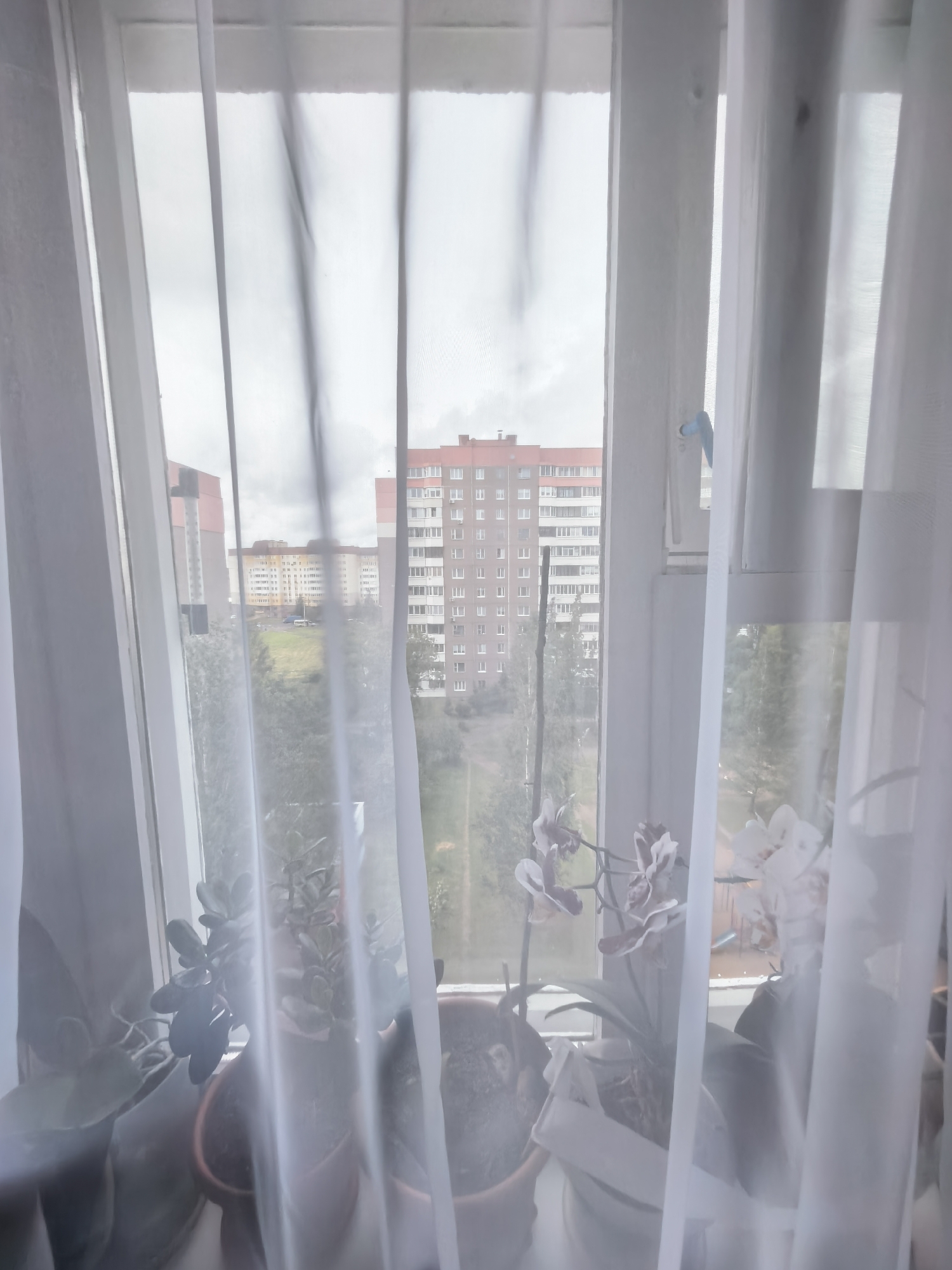 A view through a sheer white curtain to a city landscape. The foreground shows several potted plants on a windowsill, including a jade plant and orchids with spotted petals. The middle ground displays a green grassy slope with a dirt path winding through it, bordered by trees. In the background, several multi-story apartment buildings are visible, with one prominent reddish-brown building featuring numerous white-framed windows. The sky is overcast. The scene appears to be from an urban residential area.