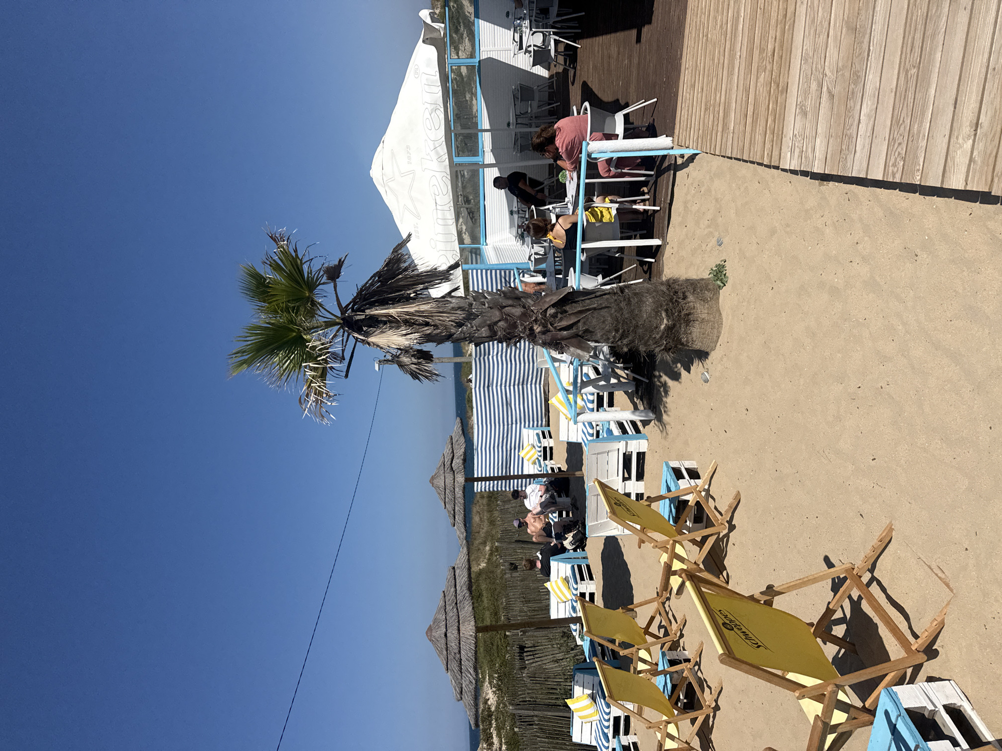 The image depicts a beachside bar or restaurant in Vila Nova de Gaia, Portugal. The foreground features several yellow canvas deck chairs with wooden frames situated on a sandy surface. Some of these chairs are positioned in front of low, blue and white striped seating units made from pallet wood. In the background, there are more seating areas with thatched umbrellas providing shade over pallet furniture with blue and white striped cushions. A tall, weathered palm tree stands prominently in the mid-ground. Further back, under a large white Heineken umbrella, several people are seated at tables on a wooden deck. A fenced area with striped screens separates parts of the seating. The environment is clearly a beach with the ocean and dunes visible in the distance under a clear blue sky. The overall scene suggests a casual, sunny day at a beach establishment.