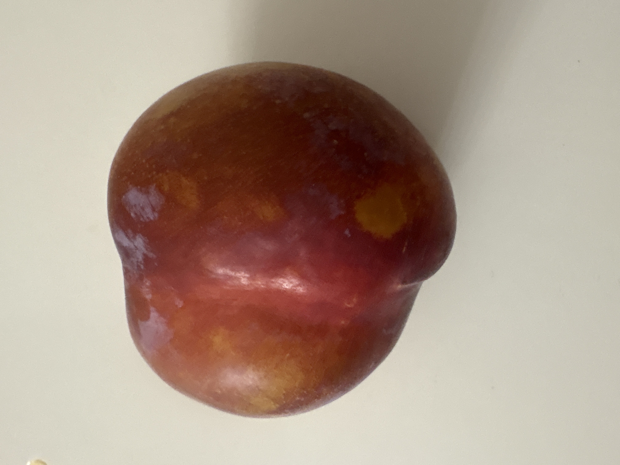 A single, ripe plum rests on a neutral-colored, flat surface. The plum exhibits a gradient of colors, transitioning from a deep red to a reddish-orange and tinged with purple hues, particularly on its upper left side. The surface appears to be a countertop or table. The lighting creates subtle shadows around the plum, indicating it is illuminated from above and slightly to the right. There are no visible people, actions, or interactions. The scene is devoid of any specific urban or geographical markers that would associate it with the city of Georgiyevsk, Russia.