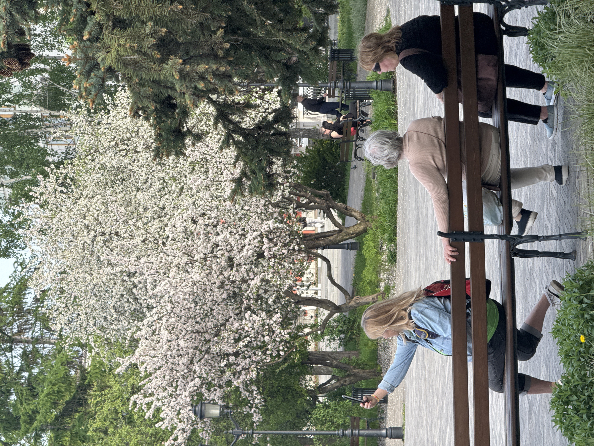 The image shows a park scene in Kazan, Russia. Three women are sitting on a wooden bench. The woman on the right wears sunglasses and a dark top. The woman in the middle has gray hair and a light-colored top. The woman on the left has blond hair and is taking a photo with her phone. A large tree with white flowers is in the background. A paved walkway is visible. Another bench with people on it is further away.