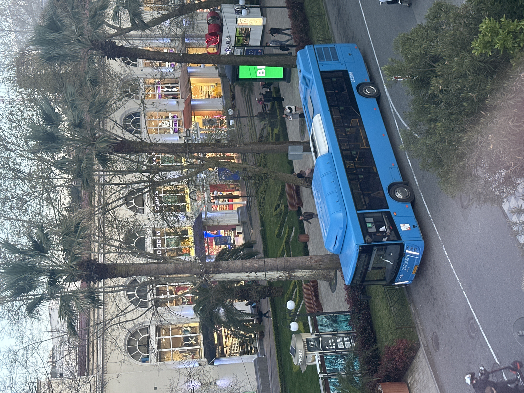The image captures an elevated view of a vibrant urban street scene, rotated 90 degrees clockwise. A prominent blue bus, bearing the number "242046" on its side and front, occupies the right side of the frame, positioned on an asphalt road marked with white lines. Pedestrians are visible on the adjacent sidewalk, some walking and others appearing to be standing near benches.
The street is lined with multi-story buildings featuring classical architectural elements like arched windows, which house various businesses with brightly illuminated storefronts. Several palm trees with dense fronds are interspersed among bare-branched deciduous trees, indicative of a subtropical climate. Green bushes and manicured lawns separate the sidewalk from the road in certain sections.
Notable details include a large, vertical green sign partially reading "BI" and a smaller sign at ground level displaying "КУРСИИ" (Kursii), confirming the Russian language context. The lighting suggests late afternoon or early evening, with storefront lights glowing while some daylight still illuminates the sky. The overall scene depicts a lively commercial area in Sochi, Russia, with daily urban activity.