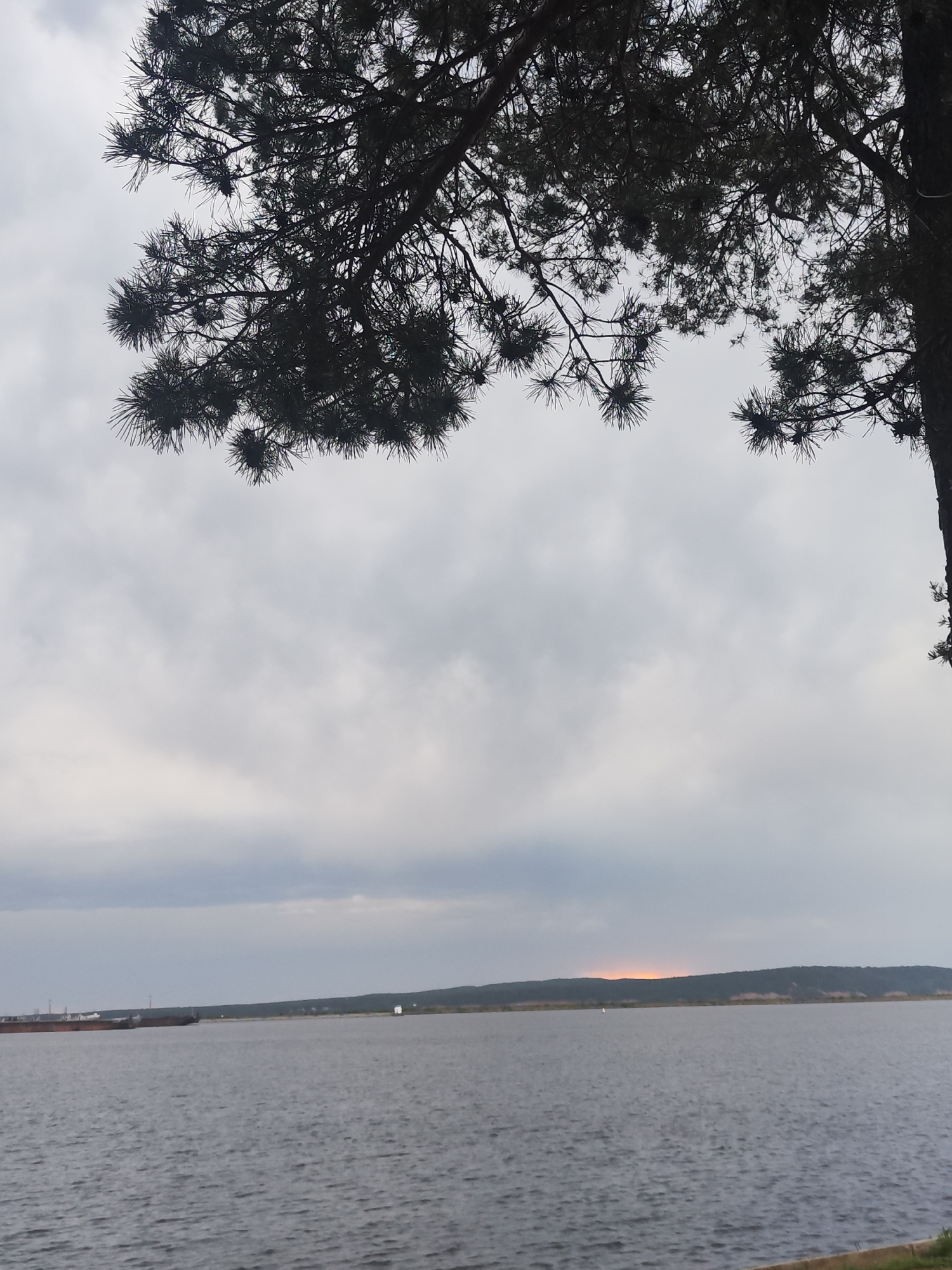 The image shows a view of the Votkinsk Reservoir in Chaikovsky, Russia, on an overcast day. The foreground features a body of water with small waves. In the midground, there is a distant shoreline covered with trees and a hint of an orange sunset. In the background, there are faint buildings. A large tree branch with dark foliage is visible in the upper part of the frame, partially obscuring the sky. A boat is partially visible on the left, near the horizon.