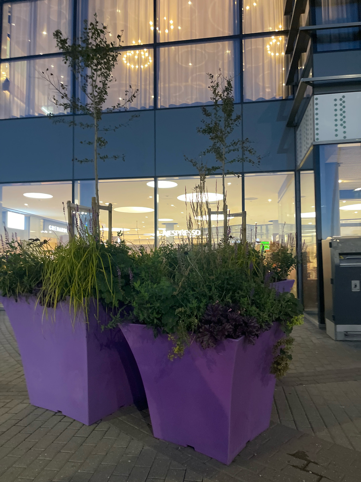 This image shows a street scene in Tallinn, Estonia, at dusk. In the foreground, there are two large, bright purple planters filled with various plants, including tall grasses and flowering plants. Two small trees are planted in the planters. The planters are situated on a paved walkway made of grey brick.
Behind the planters, a modern building with large glass windows is visible. The windows reflect the interior lights, which appear as bright, circular shapes. The building's facade has blue and grey elements. To the right of the building, a modern black trash receptacle is visible.
The lighting in the scene suggests it is either early morning or late evening, with artificial lights contributing significantly to the illumination. The overall impression is of an urban environment with a touch of modern design and greenery.