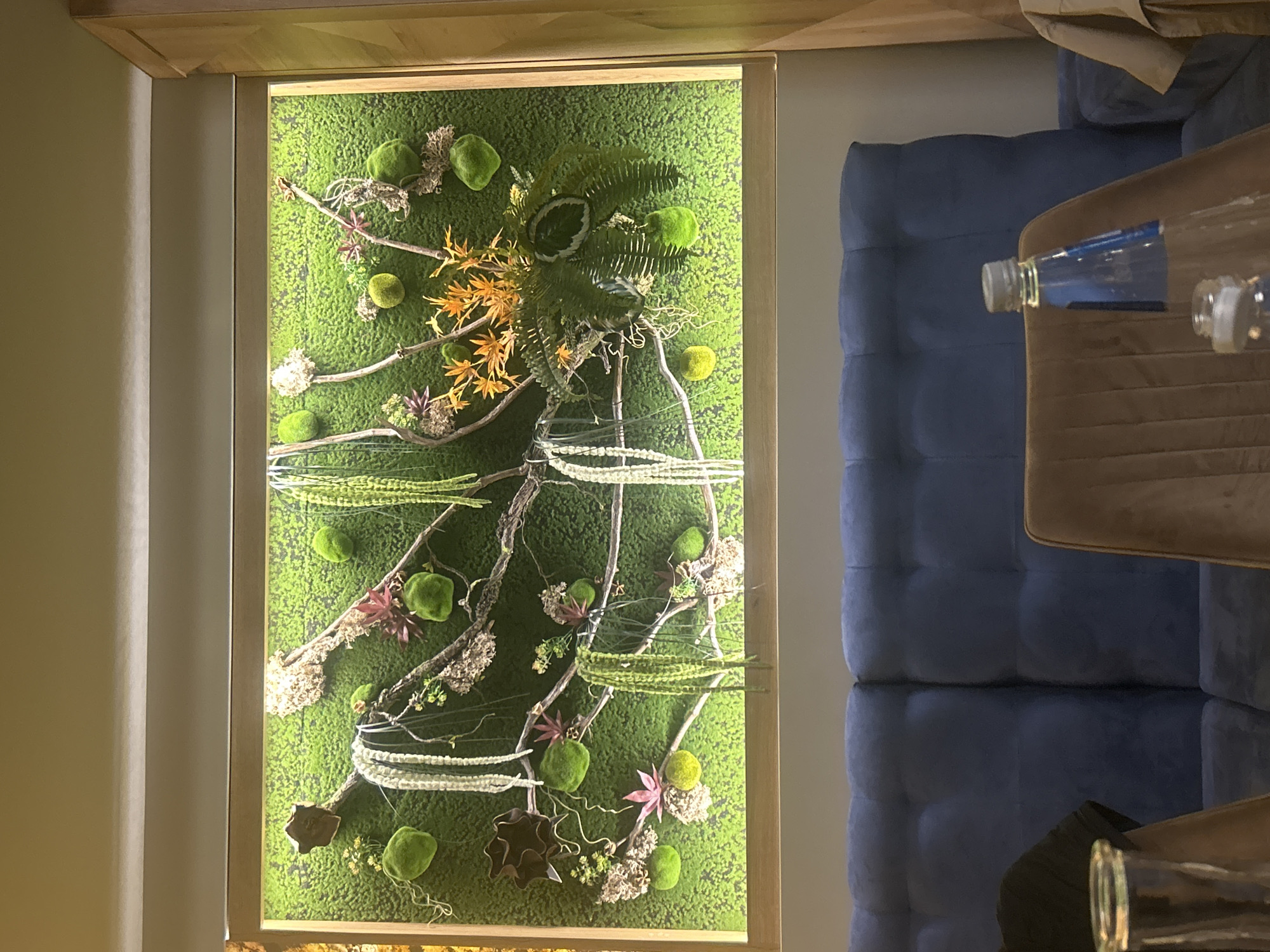 The image displays an interior scene, likely a commercial establishment such as a restaurant or cafe, situated in Pleven, Bulgaria. The upper portion of the scene is dominated by a large, rectangular decorative wall feature, mounted on a light-colored wall. The frame is constructed from light-toned wood and encloses a vibrant green, textured preserved moss wall, which is illuminated by strip lighting along its inner edges.
Within the moss wall, various decorative elements are arranged. These include intertwined bare branches of varying thickness. Numerous spherical, bright green moss balls are interspersed throughout. Artificial or preserved plant elements are present: long, cascading strings of light green textured foliage; clusters of small, dark reddish-brown leaves; and off-white dried flora or lichen-like clusters. On the right, a prominent cluster of orange and yellow spiky foliage is visible, beneath which are a large, dark green fern and a round leaf with a lighter central pattern. On the left, an irregularly shaped, dark brown object resembling a dried seed pod or abstract sculpture is mounted.
Below this wall feature, a long, blue upholstered sofa or banquette spans the midground. Its backrest is button-tufted with distinct indentations and divided by a central vertical seam.
In the foreground, on the left, a partial clear glass vessel, possibly a carafe, is visible. Behind it, a person's arm and shoulder, clad in a dark garment, rest against the blue sofa. To the right, a section of a brown upholstered chair, featuring vertical stitching, is visible. A clear plastic water bottle with a light-colored cap and a blue label rests on this chair. On the far right, a light-colored garment is draped over an object, partially obscured by a vertical light wood panel that marks the edge of the scene.