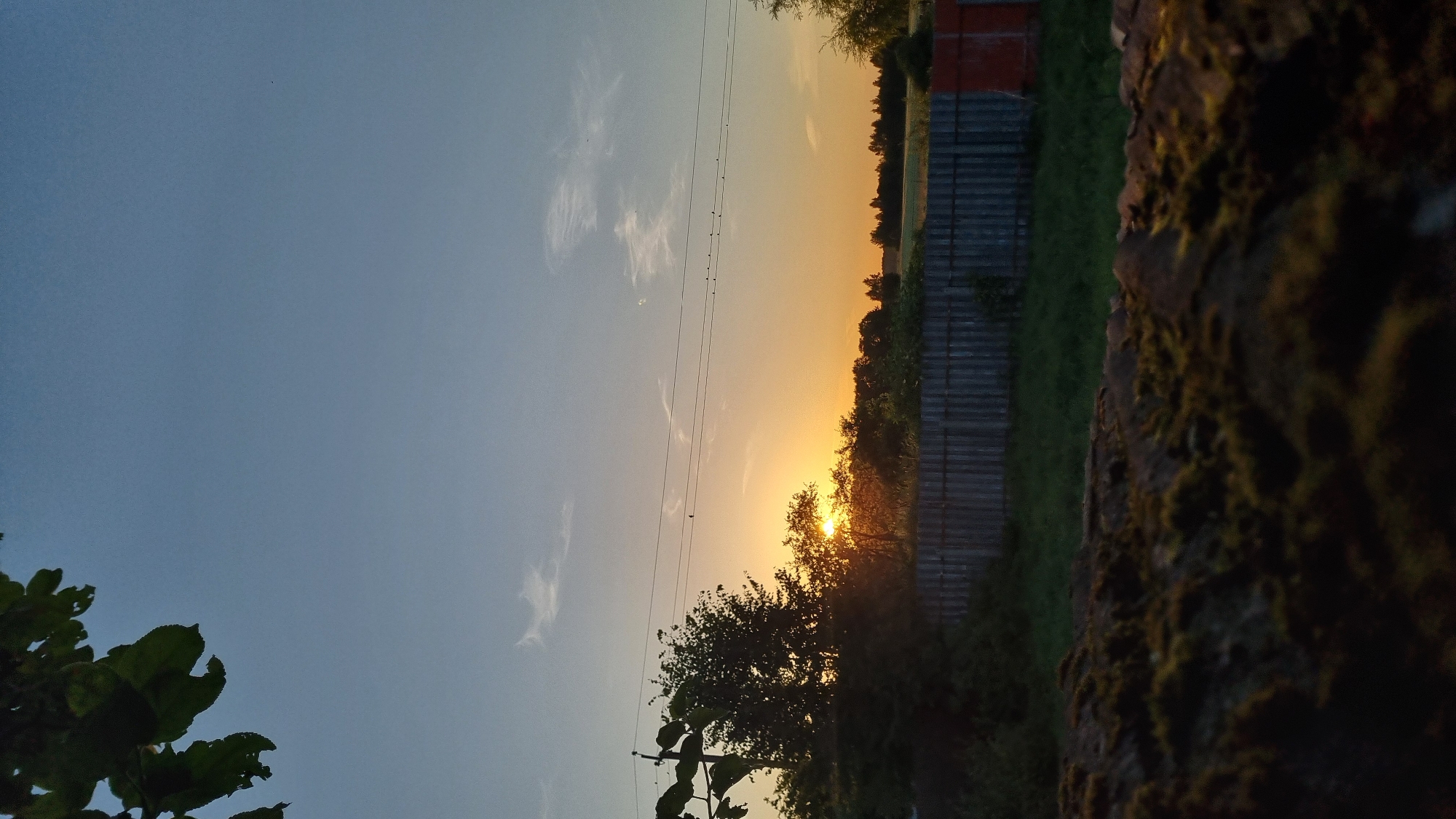 A vertical, full shot captures a serene sunset scene in Vysokoe, Russia. The foreground is dominated by a textured, dark surface, possibly moss-covered earth or rocks, out of focus. Beyond this, a grey, corrugated metal fence stretches horizontally, partially obscured by green foliage. Behind the fence, a line of trees forms a dark silhouette against the sky. The sun, a brilliant orange orb, is setting behind these trees, casting a warm glow across the horizon. The sky transitions from a pale yellow near the horizon to a clear, light blue higher up. Several thin, dark wires are strung across the mid-section of the image, and tiny dark shapes, possibly birds, are perched on them. In the upper left corner, a few dark green leaves are visible, also slightly out of focus.