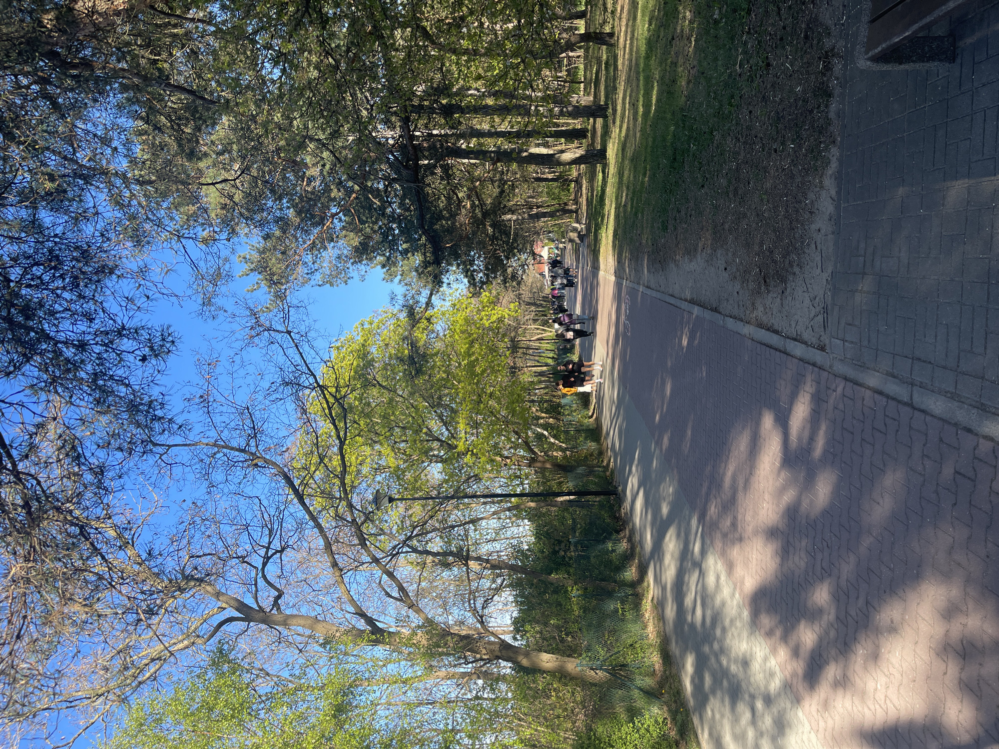 The image depicts a tree-lined pedestrian walkway in Gdańsk, Poland. The walkway is paved with rectangular reddish-brown tiles. Trees flank both sides of the path. Sunlight filters through the branches, casting shadows on the walkway. Several people are walking in the distance along the path. The sky is blue.