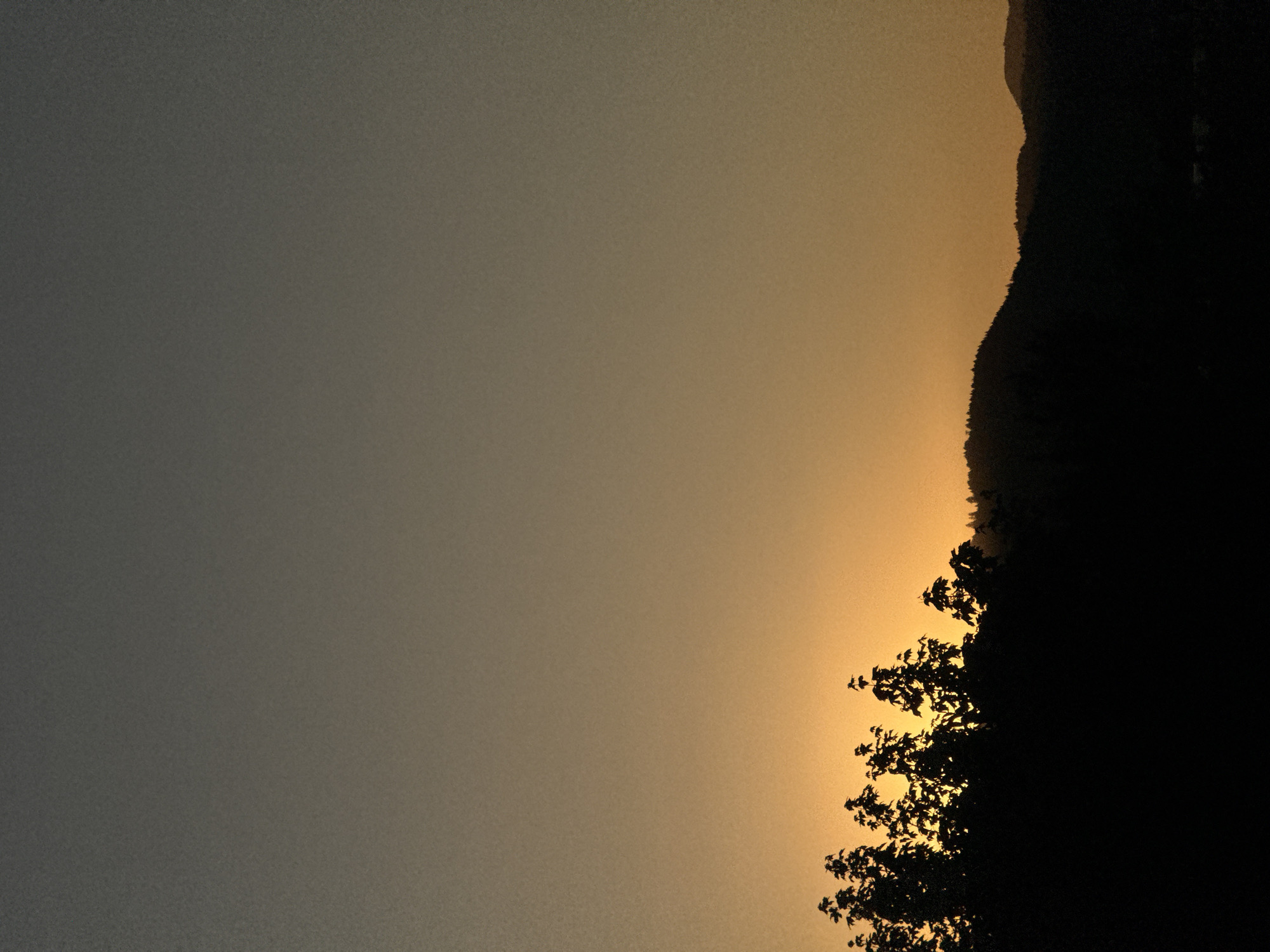 The image captures a landscape at either sunrise or sunset, in or near Hohberg, Germany. Silhouetted trees and a distant mountain ridge are cast against a sky gradating from a lighter golden hue near the horizon to a darker gray at the top of the frame. The trees and mountain appear dark and indistinct, defined only by their outlines against the sky. No people are visible. The environment appears to be rural or natural.