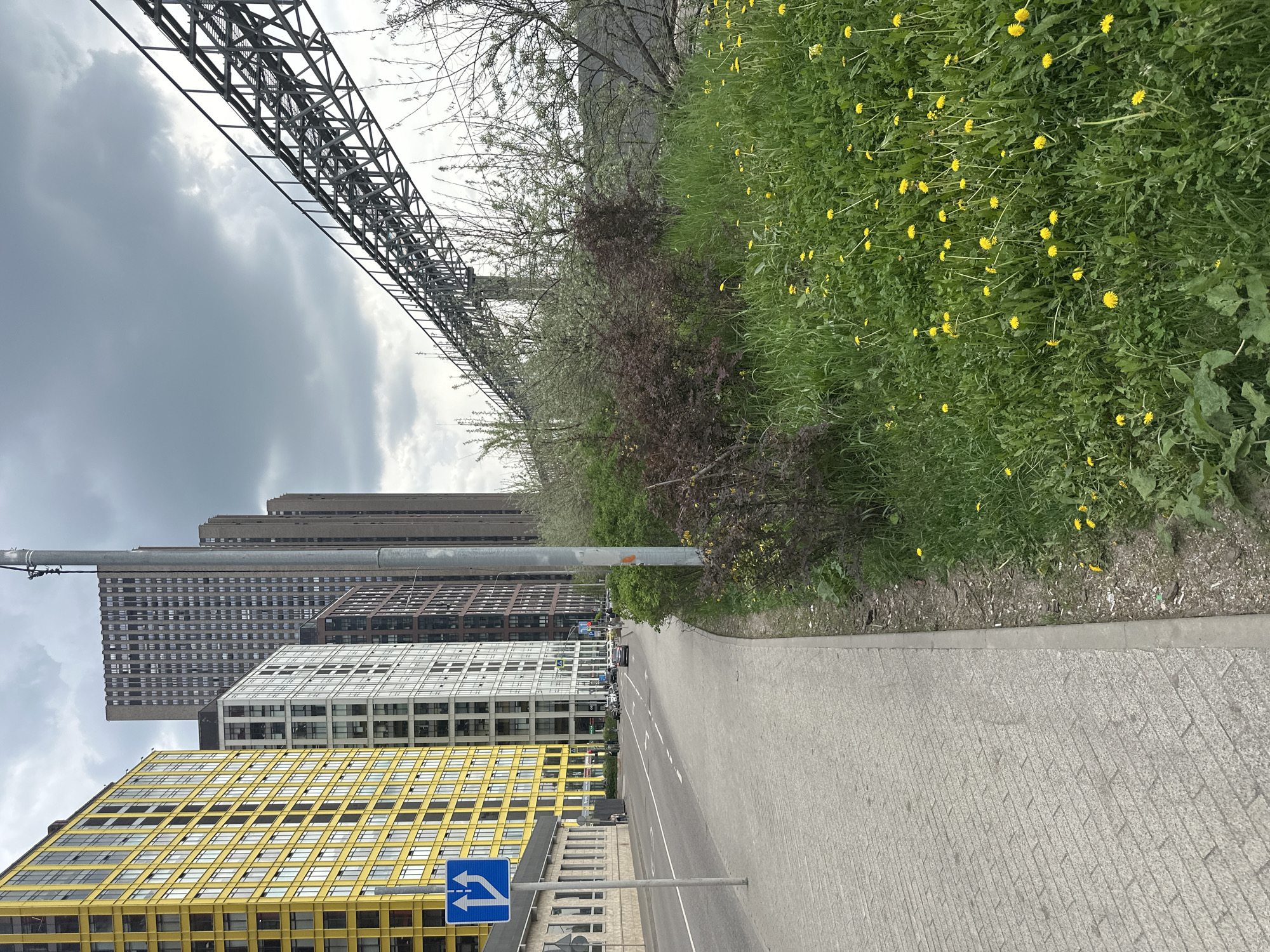 The image presents an urban scene in Khimki, Russia. A row of modern buildings, including one with a distinctive yellow grid facade, are visible on the left side of a street. The buildings rise into the sky against a backdrop of an overcast, cloudy sky. Above, a large metal structure spans across the frame, possibly a section of a bridge or other infrastructure. A green space with dandelion flowers borders the street, adding a touch of nature to the otherwise urban environment. A road sign with directional arrows stands near the yellow building. The street itself is paved with gray bricks and has white dividing lines. There are parked cars along the side.