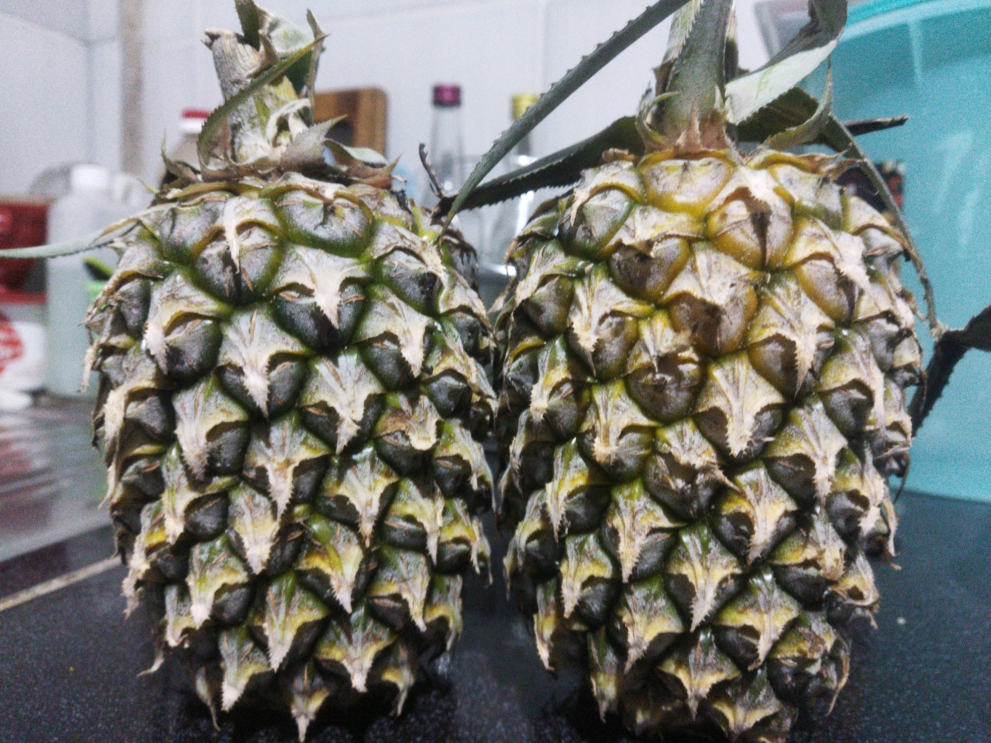 Two pineapples are positioned side-by-side on a dark, textured surface, likely a countertop. The pineapples are the primary subjects, with their spiky exteriors and leafy crowns prominently displayed. The one on the left is slightly closer to the viewer and appears larger than the one on the right. The background is blurred, suggesting a shallow depth of field, and shows a light-colored wall with some indistinct objects. The lighting is diffuse, creating soft shadows and highlighting the textured details of the pineapples. The scene appears to be an indoor setting, possibly a kitchen or food preparation area. There is no indication of the location being specifically in Tarai Bangun, Indonesia, or any other specific city.