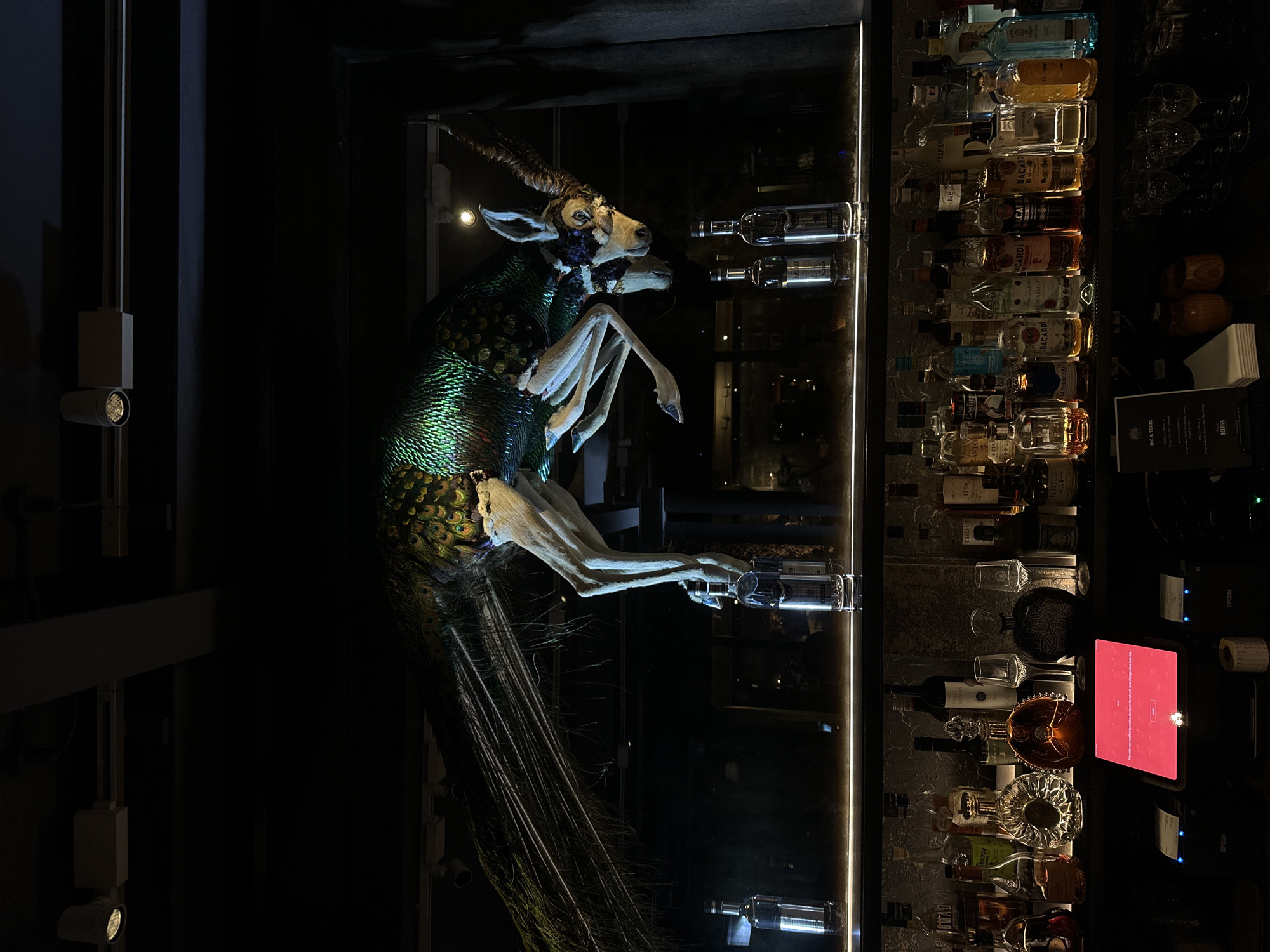The image displays a dimly lit interior, likely a bar or restaurant in London, United Kingdom, centered around a striking and unusual taxidermy exhibit. The main subject is an animal resembling an antelope or gazelle, with prominent, spiraled horns and a body uniquely covered in shimmering, iridescent green and blue feathers, akin to a peacock's plumage. It appears to be suspended in a leaping posture within a glass enclosure, with long, feathery strands extending downwards.
To the right, a well-stocked bar is visible, featuring multiple shelves filled with numerous bottles of various spirits and liqueurs. Labels on these bottles show brand names such as "ELISENTE", "1796", "Goslings", "ANTAY", "3 STAR", "PALMAR", "BACARDI" (appearing several times, including "ACARD" and "BACARDIYC"), "USARTAN", and "A HECHICERA". Below the shelves, there are empty glasses, a red-screened tablet or monitor, and two "EPSON" brand printers. A small sign or menu is visible with the text "INC & TONIC" and "BELUGA".
The setting is dark, illuminated by spotlights that highlight the taxidermy and the bottles, creating a sophisticated and intriguing atmosphere. There is no human activity depicted, showing a static interior display.