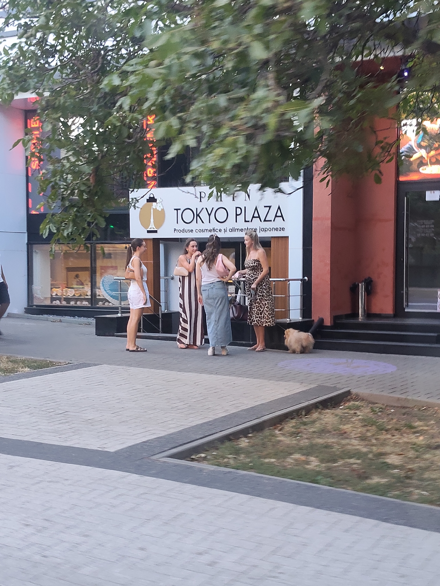 This image depicts the exterior of a retail establishment labeled "TOKYO PLAZA," identified by a sign featuring the text "TOKYO PLAZA" and a graphic of the Eiffel Tower. The establishment appears to be located in Chișinău, Moldova, as suggested by the presence of Romanian text on the sign, "Produse cosmetice și alimentare japoneze" (Japanese cosmetics and food products). The storefront features large glass windows, and a portion of the interior is visible, displaying merchandise.
In front of the store, on a paved sidewalk, stand four women and a small, fluffy dog. One woman, wearing a white top and white shorts, stands facing left. Beside her, a woman in a striped maxi dress is talking to another woman in a light-colored top and denim skirt. A fourth woman, wearing a leopard-print dress, is standing near the dog. The dog is a light brown color and is on a leash held by the woman in the leopard-print dress. The environment appears to be a commercial area with a tree providing shade over the scene. The ground is paved with light-colored interlocking bricks, and there is a grassy area to the right. The overall lighting suggests it is daytime, with sunlight filtering through the tree leaves.