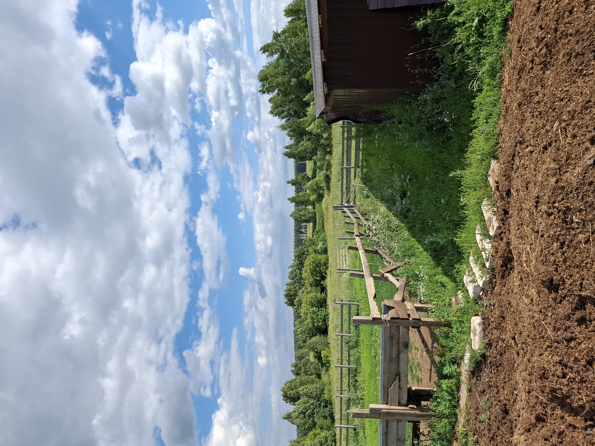 The image depicts an outdoor scene on a sunny day with a bright blue sky filled with fluffy white clouds. The perspective is a vertical shot, so the scene appears rotated 90 degrees. In the foreground, to the right, is a pile of dark brown soil or compost, bordered by a line of light-colored stones. To the left of the soil pile is a patch of lush green grass dotted with small white wildflowers.
A rustic wooden fence, constructed from rough-hewn logs and planks, runs diagonally across the midground, separating the grassy area from a larger field. Beyond the fence, a green field stretches towards a line of trees in the distance. The trees form a dense, dark green backdrop against the sky.
At the very top right of the image, the edge of a dark brown wooden structure, possibly a shed or barn, is visible. The overall impression is of a rural setting, perhaps a farm or garden, in a peaceful and natural environment. The lighting suggests it is daytime, likely mid-morning or afternoon, with clear and pleasant weather. No people are visible in the image, nor is there any visible text.