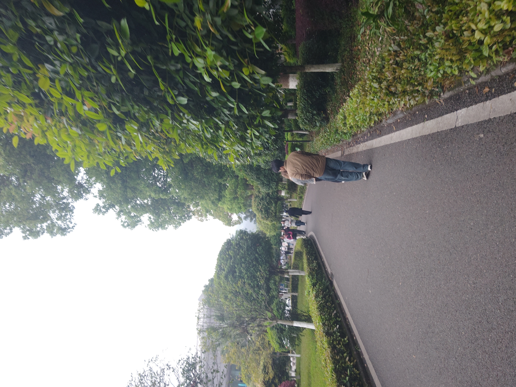 The image shows a paved road winding through a park-like setting in Chongqing High-tech Zone, China. The road is lined with manicured greenery. A man in a brown jacket and blue jeans is walking along the right side of the road. Further down the road, a group of people are walking in the same direction. Lush green trees border the road. The sky is partially visible and appears overcast.