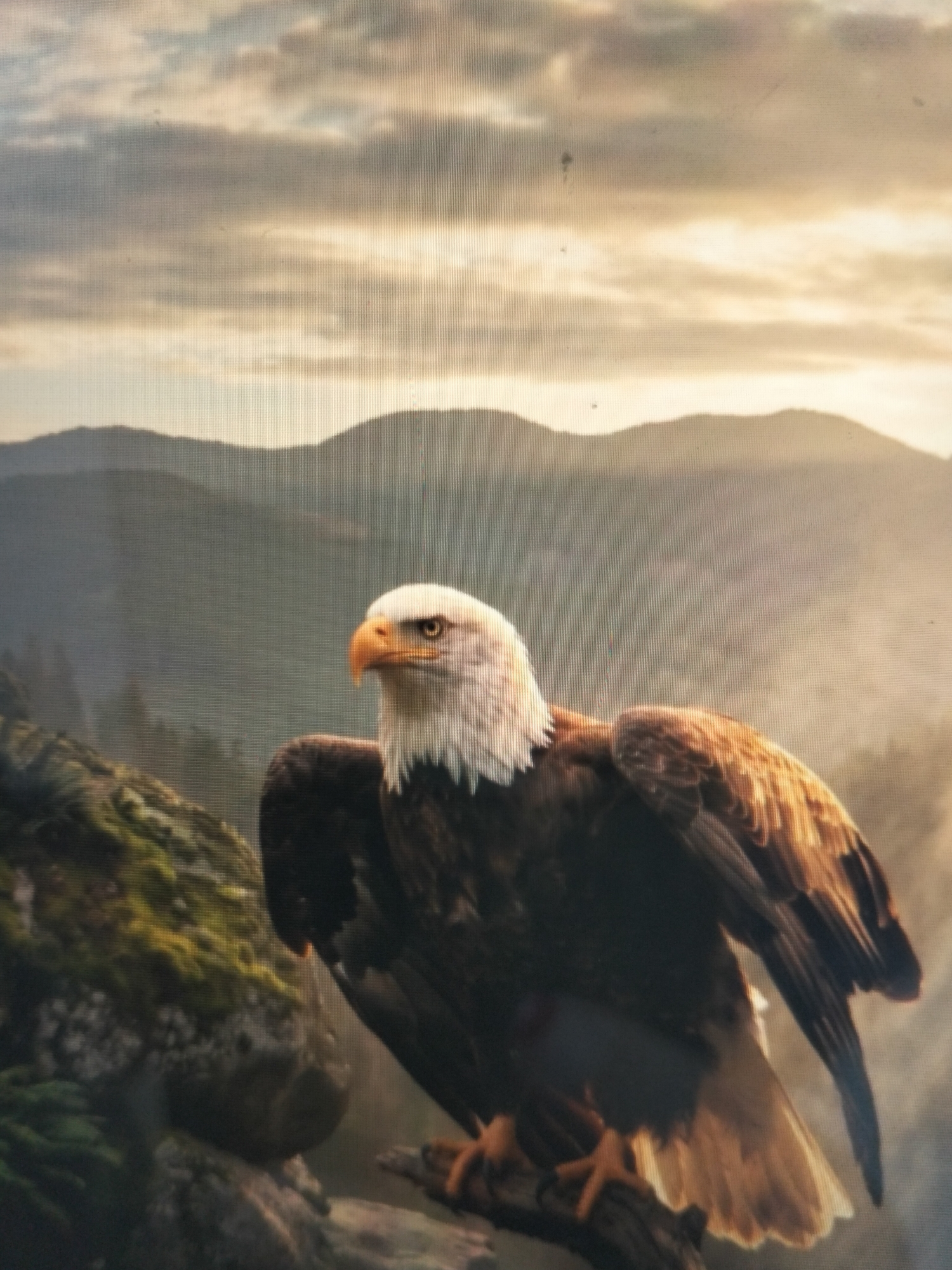 A bald eagle perches on a moss-covered branch in a mountainous landscape, with a backdrop of hazy, cloud-filled skies and silhouetted mountains. The eagle is facing left, with its head turned towards the viewer. Its white head and neck contrast with its dark brown body and wings, which are tinged with golden sunlight. The eagle's talons are visible, gripping the branch. The foreground features a rocky, moss-covered surface on the left. The background depicts rolling hills and mountains, fading into a soft, atmospheric haze. The overall lighting suggests a sunrise or sunset, with warm, golden hues illuminating the scene. There is no indication of the city of Payagaboh, Indonesia in this image.