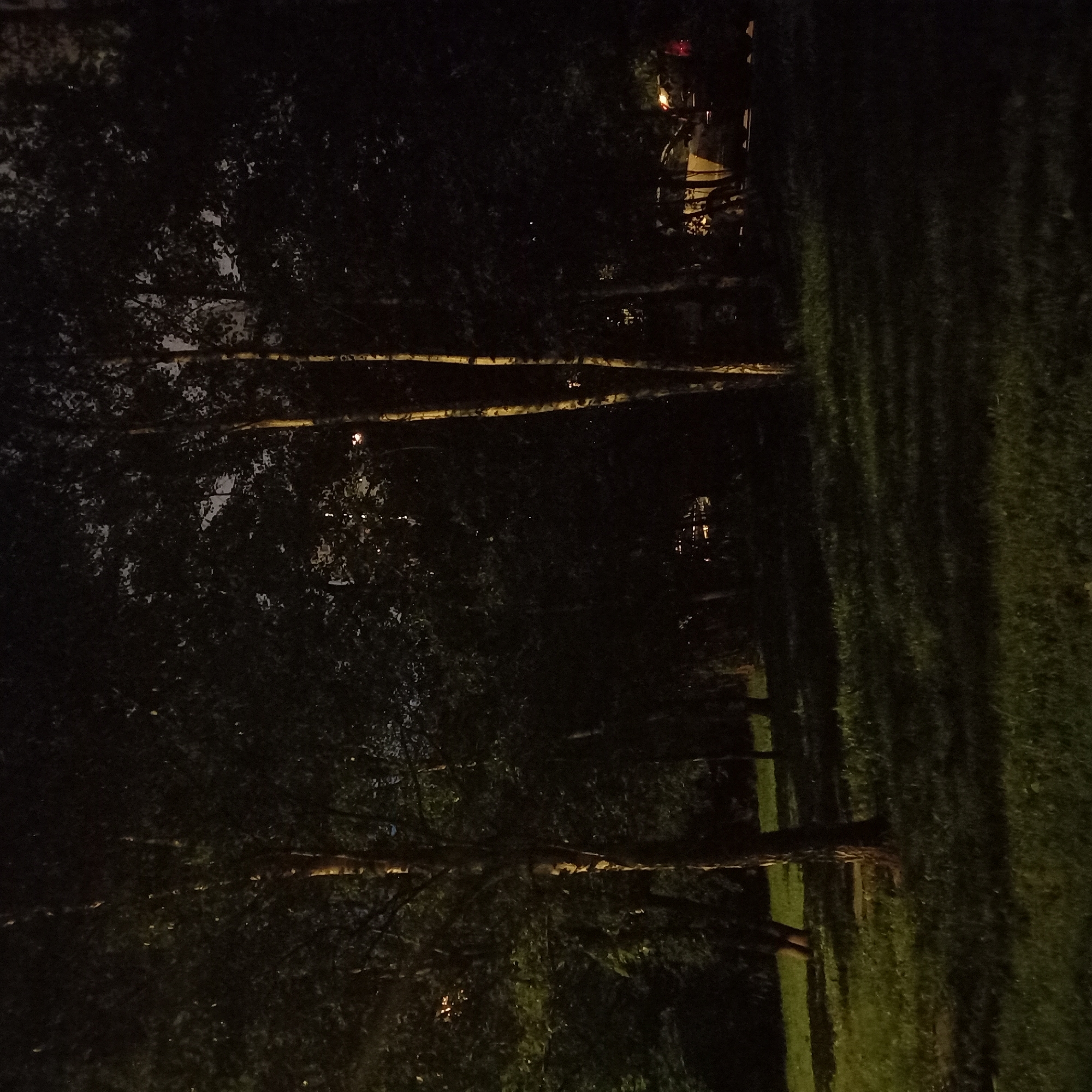 A night-time shot appears to show a park-like setting in Moscow, Russia. The image is predominantly dark, with areas of illumination suggesting street lighting. A stretch of grass is visible on the right, and trees with substantial trunks and dense foliage are present on the left. Structures of some kind, possibly buildings or street furniture, are detectable in the background.