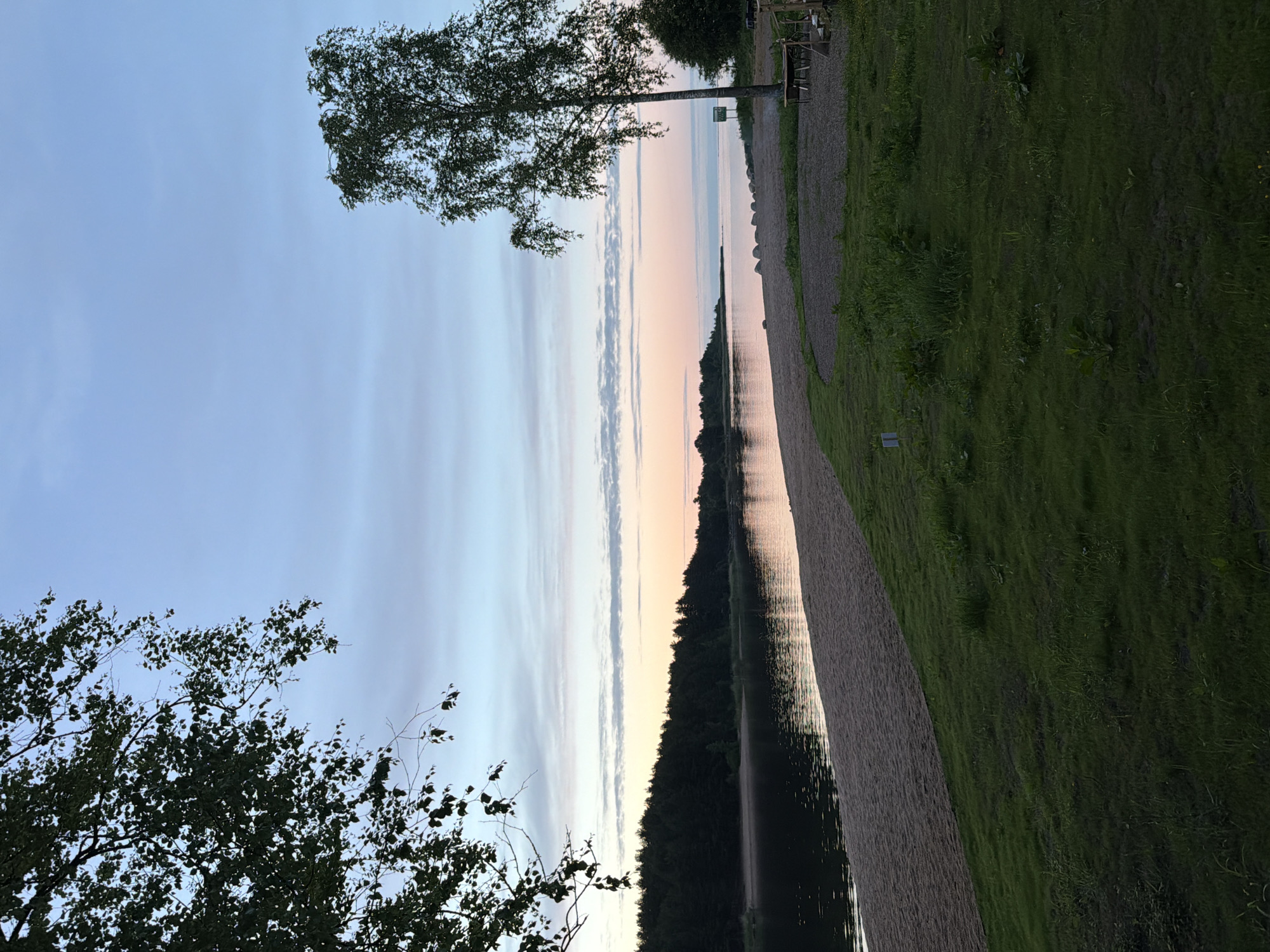 The image shows a serene lakeside scene at dusk in Solov'evo, Russia. A sandy beach curves from the left foreground into the middle ground, bordered by lush green grass with scattered vegetation. Across the calm water, a dense line of dark evergreen trees forms the opposite shoreline. The sky above is a soft gradient of pale blue, transitioning to hues of pink and orange near the horizon, with scattered wispy clouds. A tall, slender birch tree stands prominently on the right side of the image, its leaves dark against the evening sky. In the far right background, hints of outdoor furniture and possibly a picnic area are visible, suggesting a recreational spot. The overall atmosphere is peaceful and tranquil, characteristic of a summer evening by the water.
