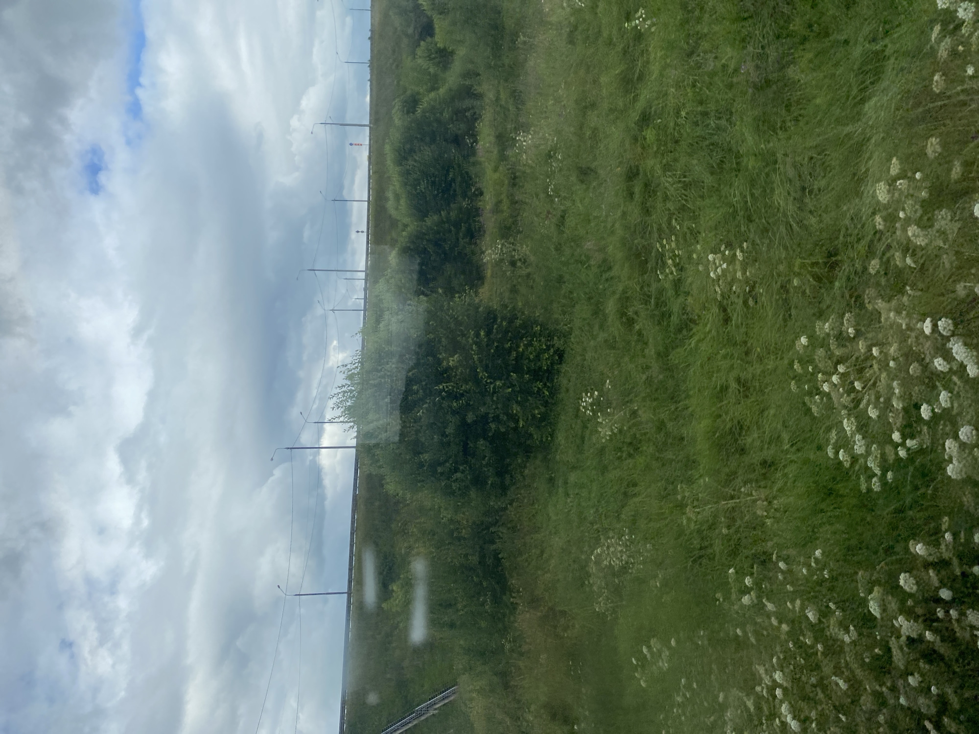 The image depicts a grassy embankment with scattered white wildflowers and green bushes. In the background, a road with streetlights is visible against a cloudy sky. There is a subtle reflection on the left side of the image, suggesting it was taken through a window. The location, Почтовик Снт, Russia, indicates a rural or suburban setting on the outskirts of a city.