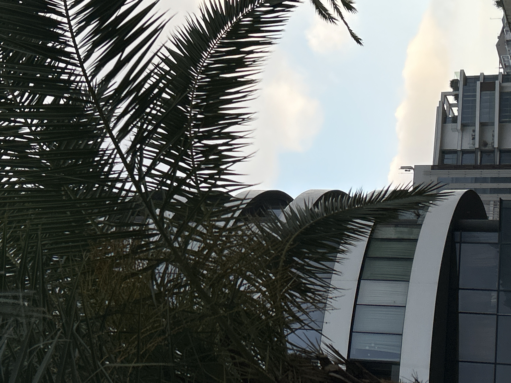 This outdoor image, taken in Budva, Montenegro, presents a view of modern architecture framed by lush palm fronds. In the foreground, numerous dark, silhouetted palm fronds dominate the left side and lower sections of the frame, their spiky leaves creating a natural, somewhat abstract pattern against the lighter background.
Through the gaps in the foliage, a bright sky is visible, featuring a light blue hue with soft, scattered white clouds, indicating it is daytime, likely mid-day or late afternoon.
In the mid-ground and background, contemporary multi-story buildings rise. On the right side, a tall building with a vertical, multi-tiered design is apparent, characterized by light-colored facades, horizontal window sections, and what appear to be balconies or terraces, possibly with some greenery on the upper levels. Towards the center-right, partially obscured by the palm trees, another building exhibits distinctive modern architecture with prominent arched or curved white structures framing dark, reflective glass facades.
The scene is static, with no visible human activity or people. The combination of palm trees and modern buildings suggests a developed, possibly coastal, urban environment. There is no visible text in the image.