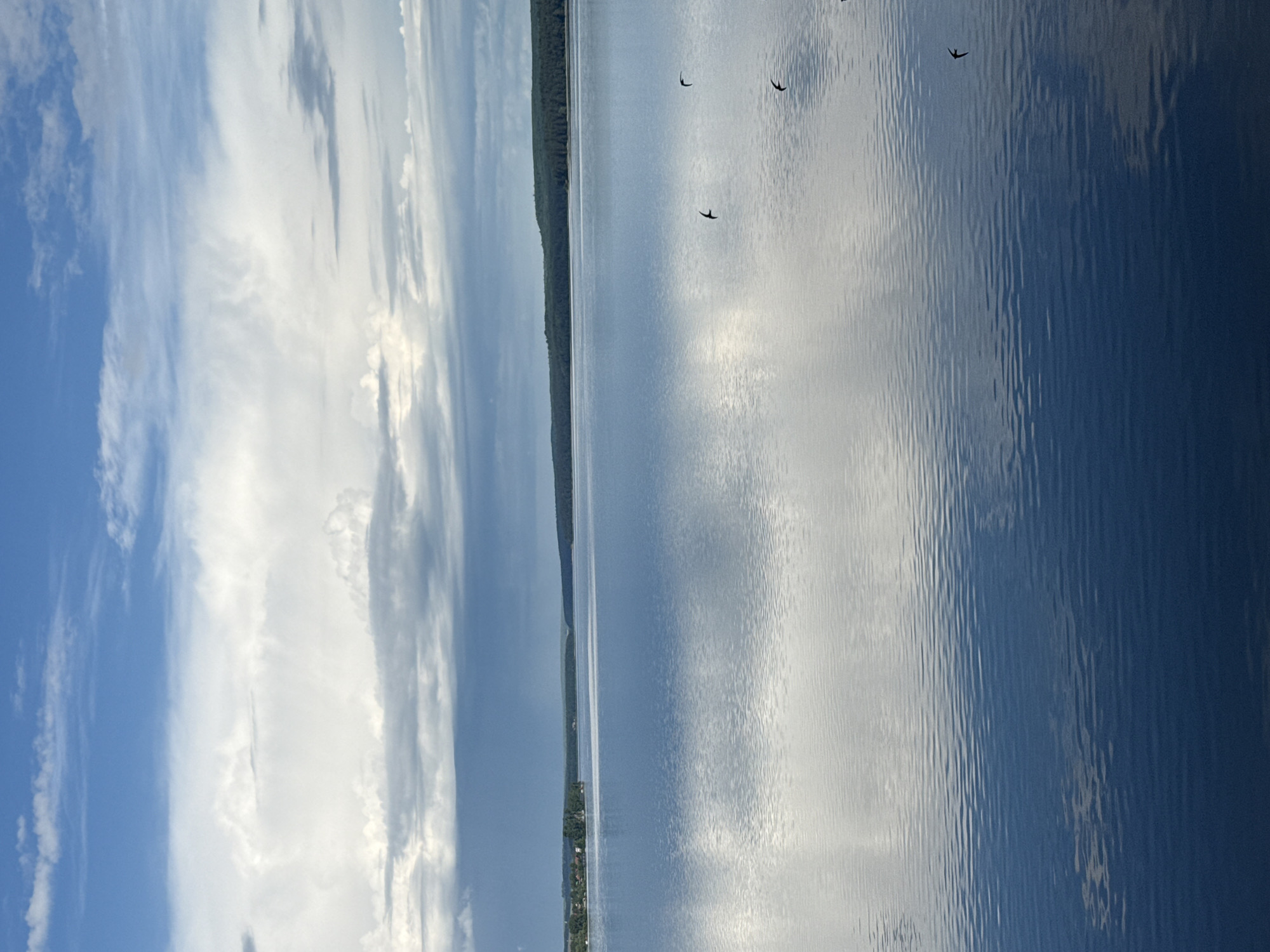 The image depicts a serene lake reflecting the sky. The sky is blue with white clouds. A thin strip of land with trees lines the horizon. Several birds are flying above the lake. The location is not identifiable as Votkinsk, Russia from the image alone.