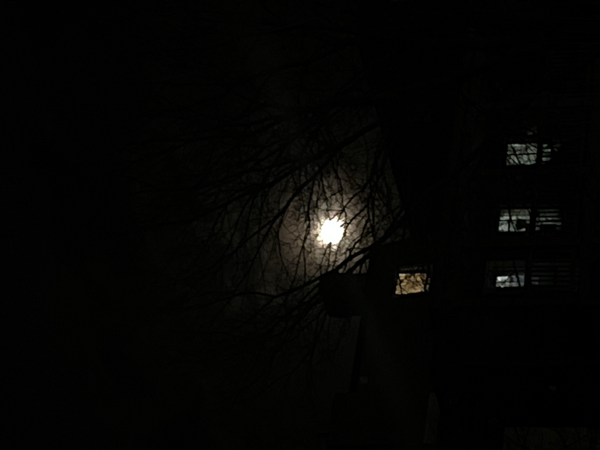 The image appears to be a night scene in the City of Newburgh, United States of America. A bright moon is visible through the branches of a bare tree. To the right, a dark building has at least three lit windows, one of which shows distinct louvers or blinds. The overall scene is very dark, with limited ambient light.
