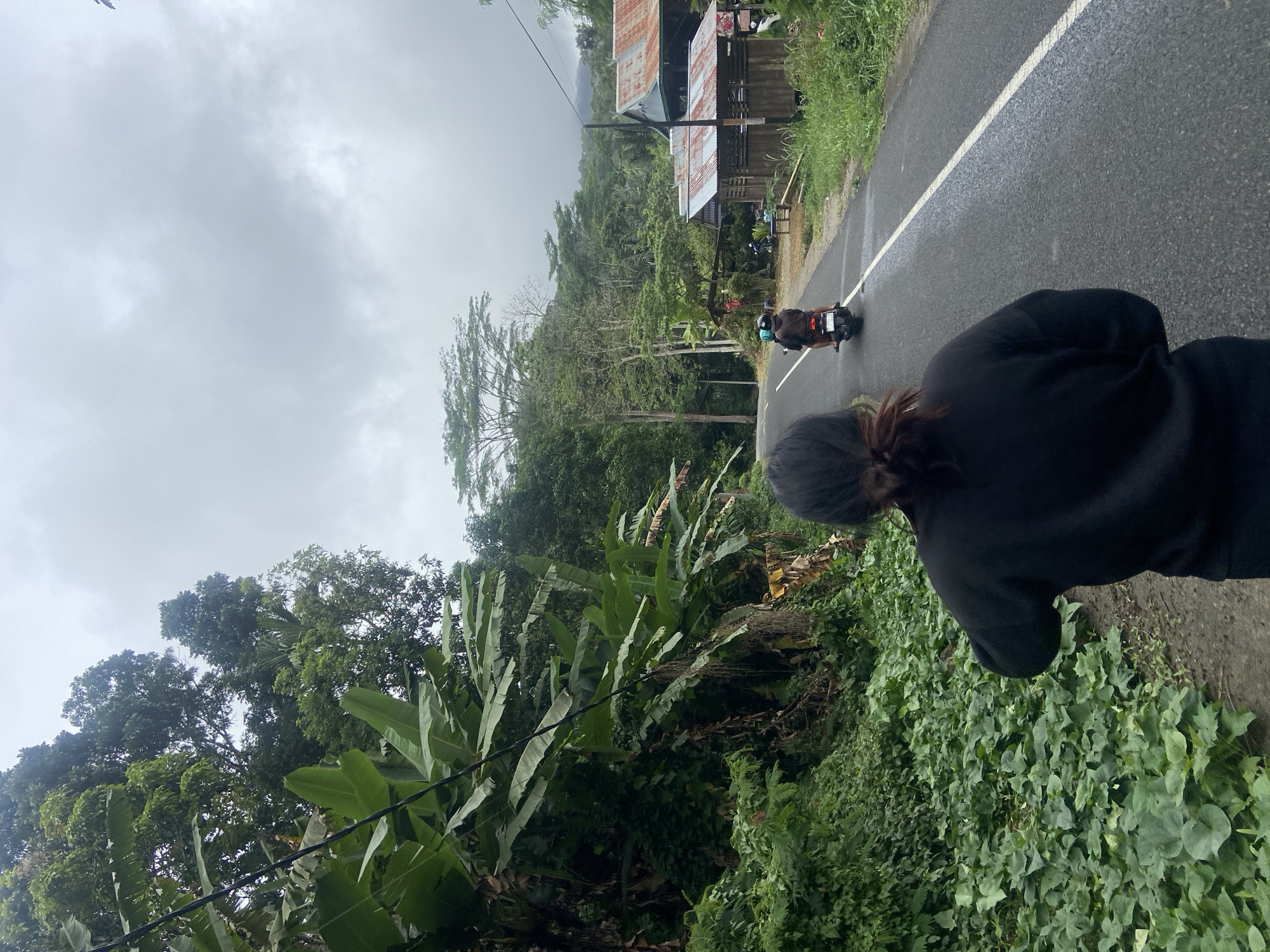 In Makale, Indonesia, a paved road cuts through a lush, green landscape under an overcast sky. On the left side of the road, dense vegetation with large, broad leaves, likely banana plants and other tropical foliage, covers the terrain. A dirt path runs alongside the vegetation, where a person is walking away from the camera, wearing a black long-sleeved shirt and black pants. Their hair is dark and tied back.
Further down the road, two people are riding a motorcycle. The motorcycle is heading away from the viewer, and the rider and passenger are wearing helmets. On the right side of the road, there are several small wooden structures with corrugated metal roofs, resembling modest houses or sheds, nestled amongst more greenery and tall trees. The road itself is asphalt with a white dividing line. The overall impression is one of a rural or semi-rural environment on a cloudy day.