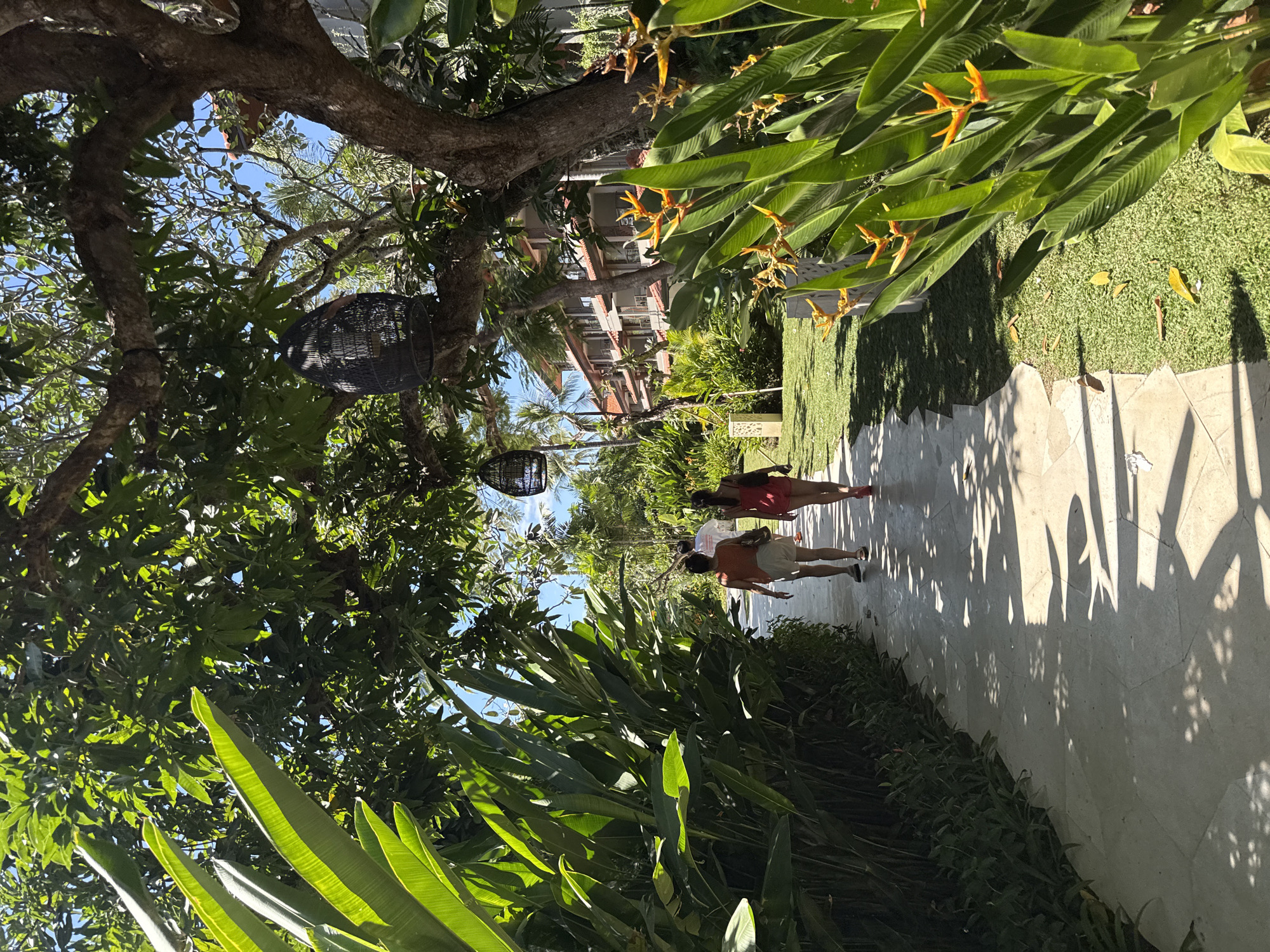 This is a landscape, eye-level, medium shot taken outdoors on a sunny day. The scene depicts a paved pathway leading through a lush, tropical garden. On the left side of the pathway, large, green, banana-like leaves form a dense border. On the right side, a vibrant display of orange and yellow heliconia flowers with long green leaves complements a neatly manicured lawn. In the background, a multi-story building with red-tiled roofs and balconies is visible through the trees, suggesting a resort or hotel. The pathway is shaded by the branches of a large tree overhead, with decorative black woven lanterns hanging from its limbs.
Two individuals, viewed from behind, are walking away from the camera on the pathway. The person in front is wearing an orange top and light-colored shorts. The person behind them is wearing a red dress. Further in the distance, another individual is walking ahead of them. The pathway is constructed of light-colored hexagonal tiles and is partially covered by dappled sunlight and shadow patterns cast by the surrounding foliage. The environment suggests a warm climate, consistent with Kuta Selatan, Indonesia, a popular tourist destination known for its beaches and tropical resorts.