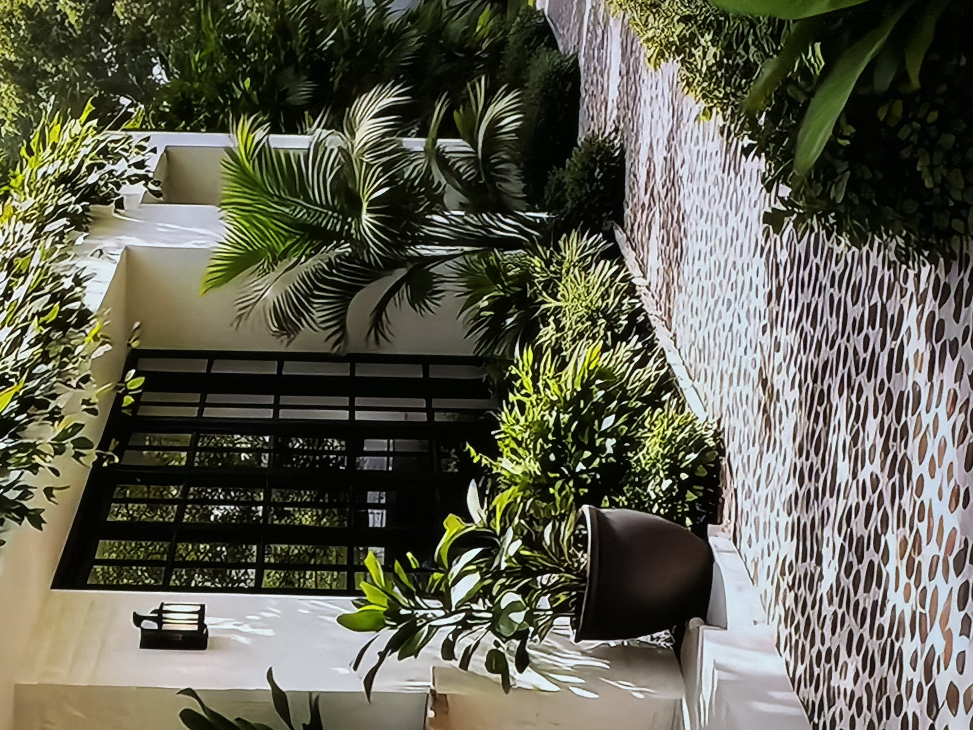 This image, which appears to be rotated 90 degrees clockwise, captures a brightly lit outdoor scene, likely an entrance or pathway to a modern building in Sofiivska Borshchahivka, Ukraine. The scene is devoid of people and activities, focusing instead on architectural and landscape elements.
The left side of the image features a contemporary white building structure with clean lines. A prominent, large dark-framed window or door, composed of multiple rectangular panes, dominates this section. Below the window, a black, box-shaped outdoor wall lamp is mounted on the white wall. Various lush green plants and foliage are abundant, including a large palm tree with fan-shaped fronds positioned behind the building, and dense green bushes growing along the base of the structure. In the foreground, a dark pot holding smaller green plants rests on a low white ledge.
The right side of the image is characterized by a textured surface, possibly a decorative wall or a paved pathway, displaying an intricate pattern resembling organic shapes or mosaic tiles in light tones. This patterned surface extends into the background, flanked by more vibrant green foliage.
The time of day is clearly daytime, likely sunny, as evidenced by the strong shadows cast by the plants and the wall lamp onto the white surfaces. The overall impression is one of modern design integrated with natural, tropical-like landscaping, creating a serene and well-maintained environment. There is no visible text in the image.