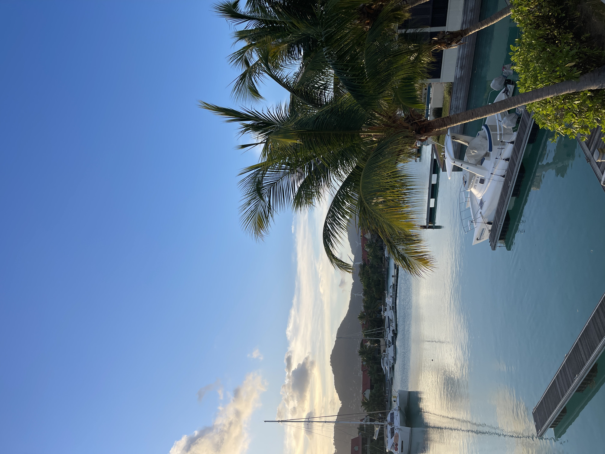The image depicts a serene marina scene in Providence, Seychelles, likely during the late afternoon or early evening, given the soft lighting and the hues of the sky. The foreground is dominated by lush, green palm trees, their fronds casting shadows on the turquoise water. Two wooden docks extend into the water from the right side of the frame, with a white motorboat moored to one of them. The boat has an outboard motor and appears to be covered.
In the middle ground, the calm water reflects the sky and the surrounding scenery. Several sailboats and motorboats are docked in the marina, their masts and hulls creating a picturesque composition. The water is crystal clear, allowing a glimpse of the underwater structures.
The background features a gently sloping hill covered in dense green vegetation and dotted with red-tiled roofs of buildings, suggesting residential or resort structures. The sky is a clear, vibrant blue, with scattered wispy clouds tinged with the warm colors of sunset. A faint hint of wind turbines can be seen on the distant hills, suggesting the presence of sustainable energy infrastructure. The overall atmosphere is one of tranquility and natural beauty, characteristic of a tropical island setting. There are no people visible in the image.