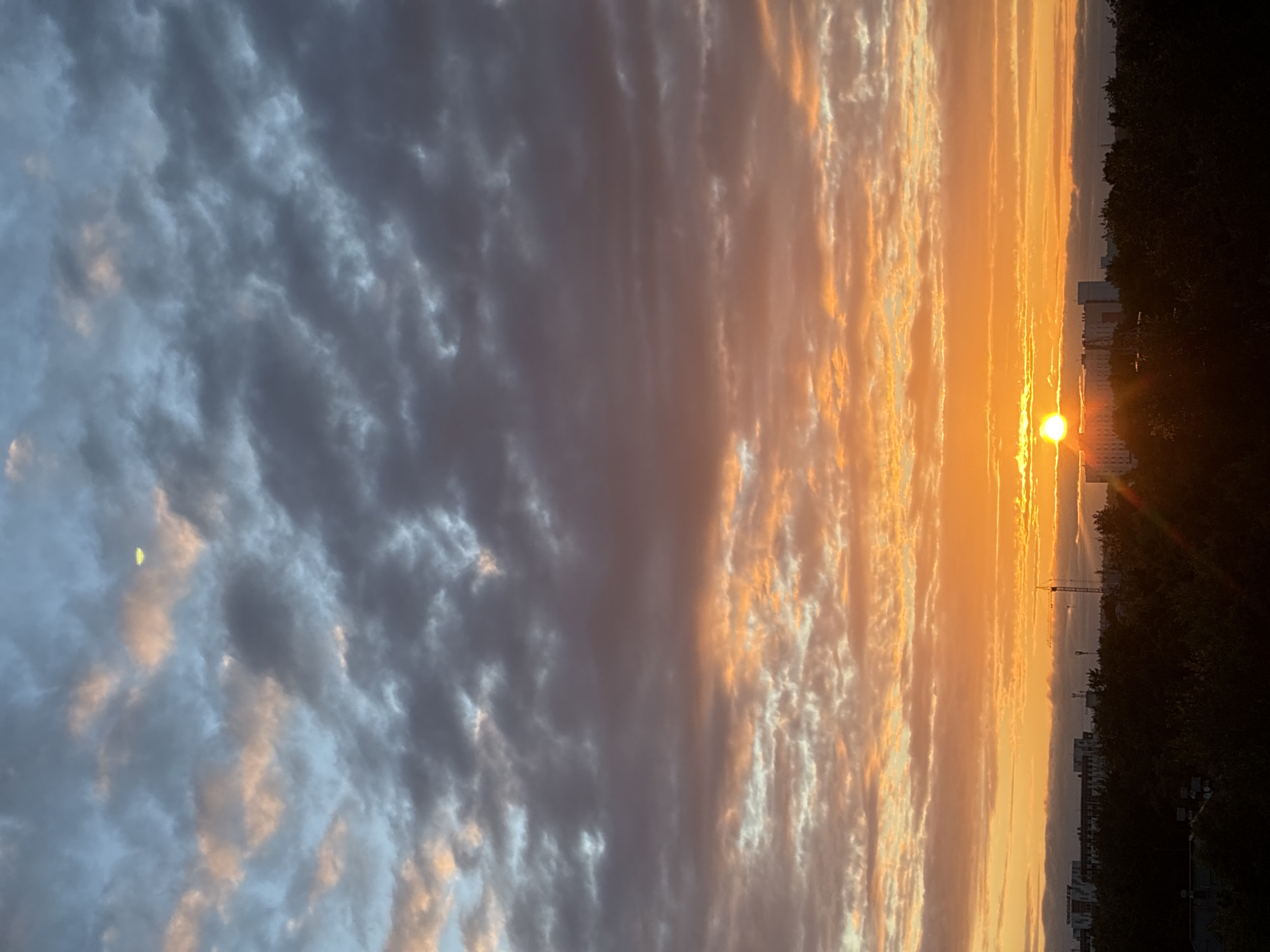 This is a vertical, full-shot photograph of a dramatic sunset over a city. The sky is filled with elongated, textured clouds that transition from dark gray and muted blue on the left to vibrant orange and yellow on the right. The sun, a bright orb, is positioned towards the right side of the image, just above the horizon, casting a warm, radiant glow.
In the distance, a silhouetted city skyline is visible, featuring buildings of varying heights and a construction crane. The silhouette of dark trees frames the right edge of the image, partially obscuring the city and sky. The overall scene evokes a sense of the end of the day and the beauty of natural phenomena. The time of day is clearly sunset due to the low sun and the intense colors in the sky. The weather appears to be clear with some cloud cover, creating a visually striking effect. No people or specific objects are clearly identifiable in the foreground or midground, with the focus being on the sky and the distant cityscape. No text is visible in the image.