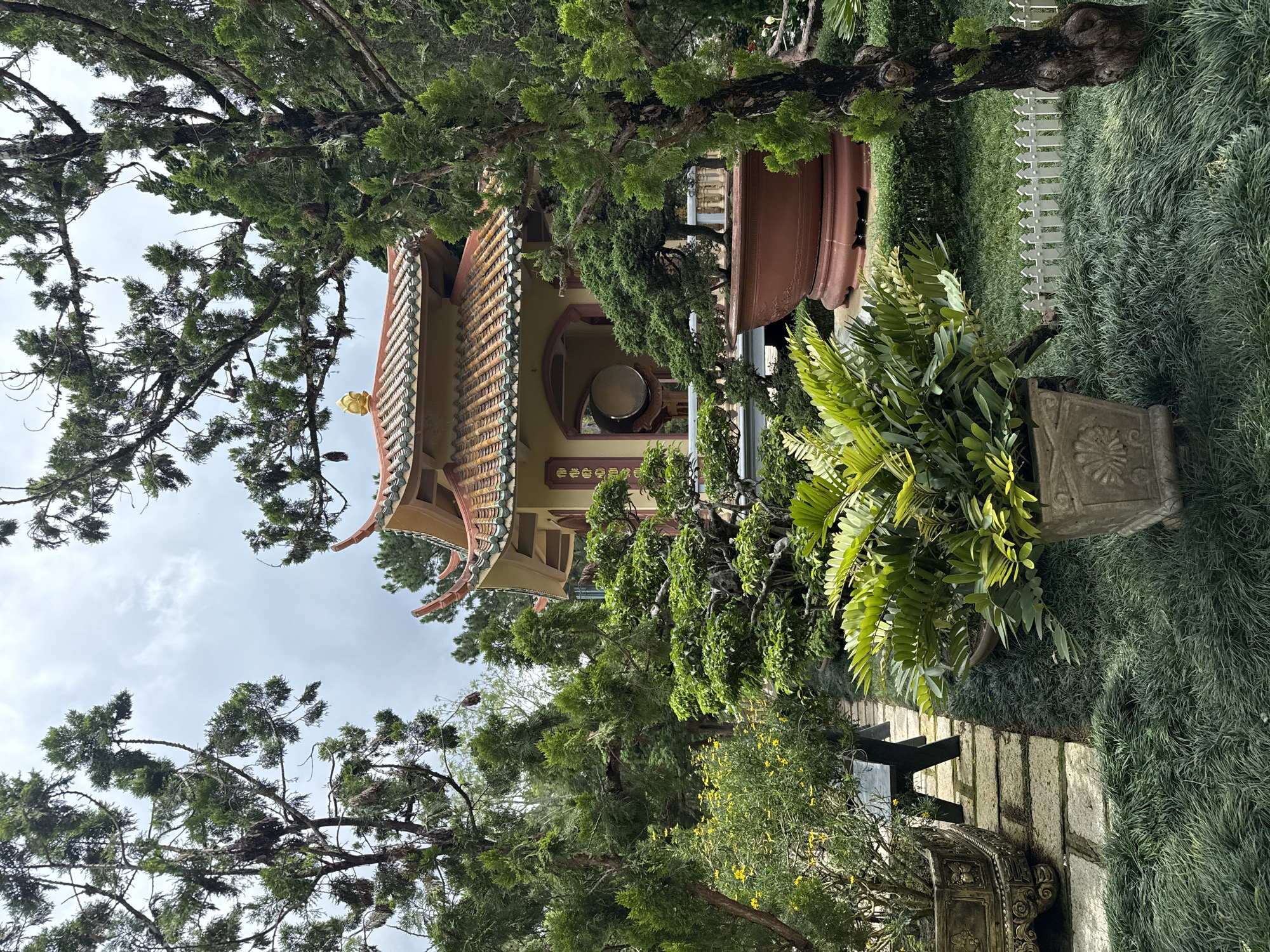 This is a medium-shot, eye-level, outdoor photograph taken on an overcast day. The scene depicts a tranquil garden setting with a traditional Vietnamese-style building in the background. The building features a multi-tiered, pagoda-like roof with orange tiles and ornate eaves. A large, golden finial adorns the highest point of the roof. The building's walls are yellow, and there are arched openings. Within one of these openings, a large, circular drum is visible.
In the foreground and mid-ground, the garden is lush with a variety of plants and trees. Several potted plants are strategically placed, including a large, decorative pot containing a bonsai tree on the right side of the image, and another with lush, green fronds on the left. A stone pathway, made of irregular flagstones, meanders through the garden. A dark, wooden bench sits next to the pathway. The ground is covered with a dense carpet of dark green, moss-like grass. A small, white picket fence is visible in the lower right quadrant of the image. The overall impression is one of serenity and meticulous landscaping, suggestive of a temple or a beautifully maintained park. The presence of the traditional architecture and the lush vegetation strongly suggests a location within the city of Da Lat, Vietnam, known for its French colonial architecture and abundant gardens.