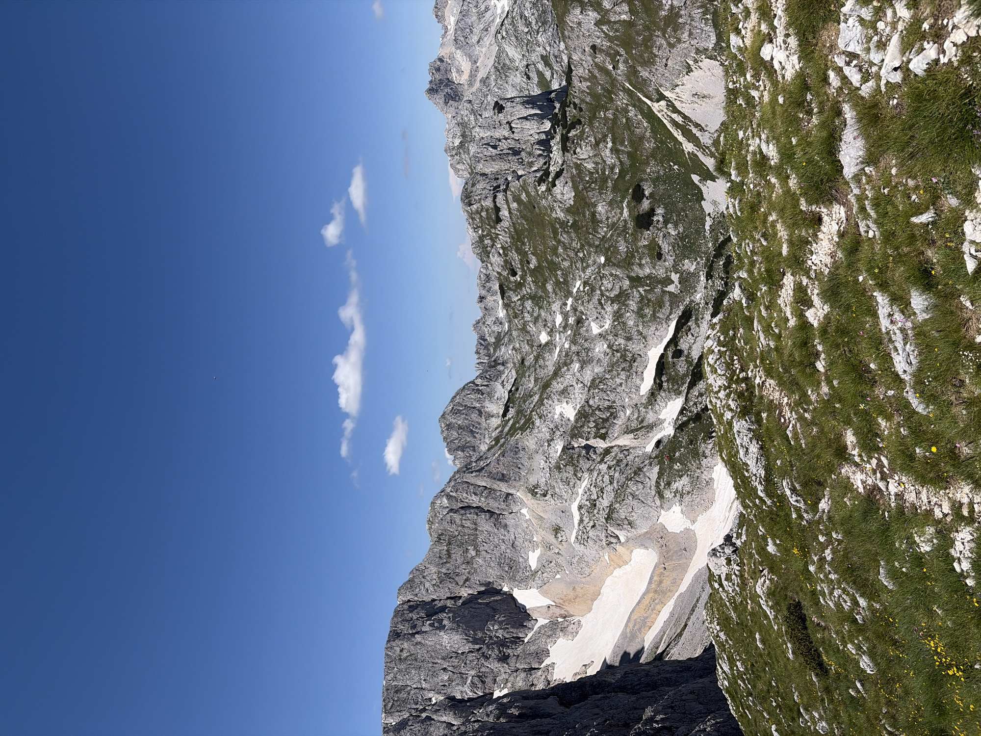 A panoramic view of a rugged, mountainous landscape under a clear blue sky with a few scattered white clouds. The foreground features a grassy slope dotted with rocks and small yellow wildflowers. A narrow, rocky path winds its way up the incline. In the midground and background, imposing grey rock formations rise sharply, some with patches of snow clinging to their crevices. The scene depicts a natural, outdoor environment, likely a mountain trail in a remote area. The location is identified as Pašina voda, Montenegro.