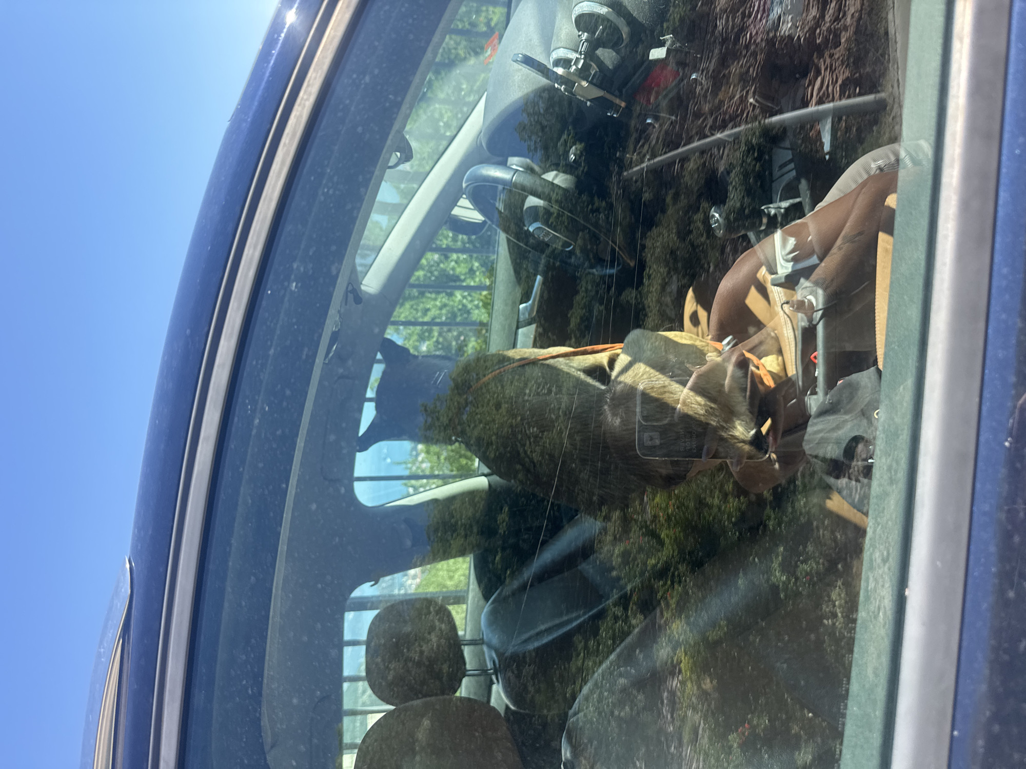 The image shows the interior of a car viewed from the outside, with reflections on the windows. The car is parked outdoors under a clear blue sky, with greenery and possibly buildings visible in the background through the windows. Inside the car, two individuals appear to be present. One person, wearing a light brown or tan jacket, is seated in the driver's seat, and their head is turned to the side. Another individual's head and shoulders are visible in the foreground, also seemingly seated inside the car. The steering wheel, dashboard, and seats of the car are discernible. The overall scene suggests a parked vehicle on a sunny day. The image does not provide specific details to pinpoint the exact location within the city of Podostrog, Montenegro, beyond it being an outdoor setting.
