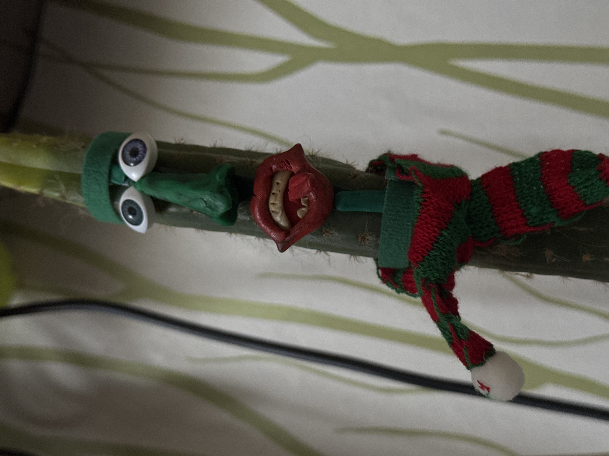 A cactus is lying horizontally, decorated with various crafted items. At the left end of the cactus, there are two large, googly eyes attached to a green band. Next to the eyes, a red pair of lips with teeth is affixed. The cactus also wears a red and green striped scarf with a white pom-pom at the end. A black electrical wire is visible in the lower left corner of the frame. The background consists of a white and green striped surface. There is no visible evidence to confirm this image's location in Ново-Никольское, Russia.