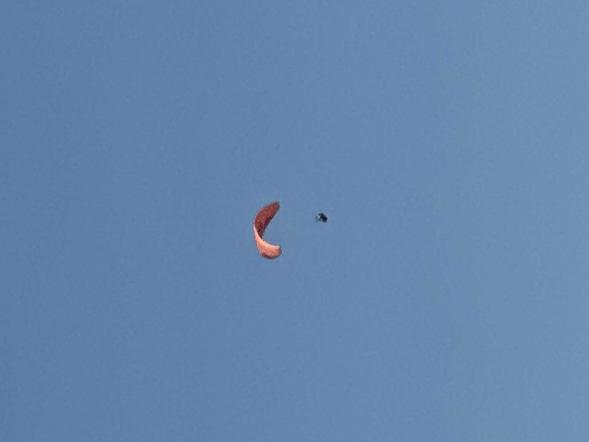 A paraglider, with a coral-colored wing, is in mid-flight against a clear blue sky. A person is suspended beneath the paraglider, appearing as a dark silhouette. The image is taken from a low angle, looking up at the paraglider. No specific location within Boreti, Montenegro, can be determined from the image alone.