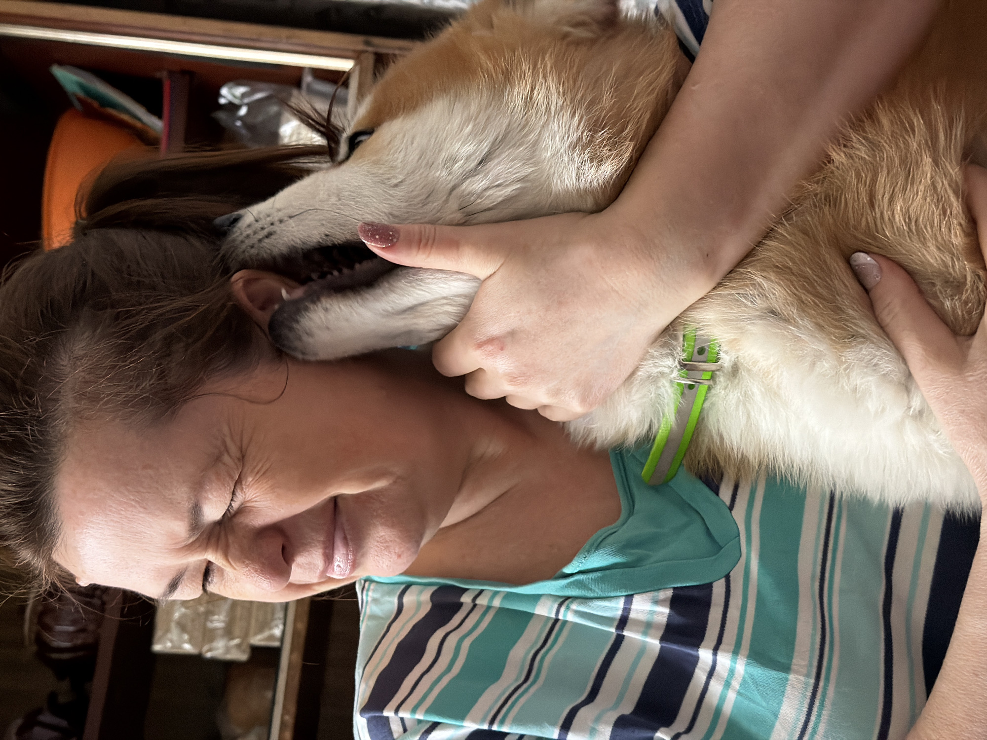 A woman and a dog are closely interacting in an indoor setting. The woman has her eyes closed and her face slightly contorted, appearing to either be squeezing her eyes shut or smiling. She's wearing a striped shirt of turquoise, white, and navy blue, with a solid turquoise top underneath. The dog is a light brown color and has a green collar. The dog's face is close to the woman's head, and she has her hand around its neck, possibly hugging it. The environment is dimly lit, and details behind the figures are not clearly discernible, but it includes what appears to be shelving or boxes. There is no information related to Заболотово, Russia, in the image.