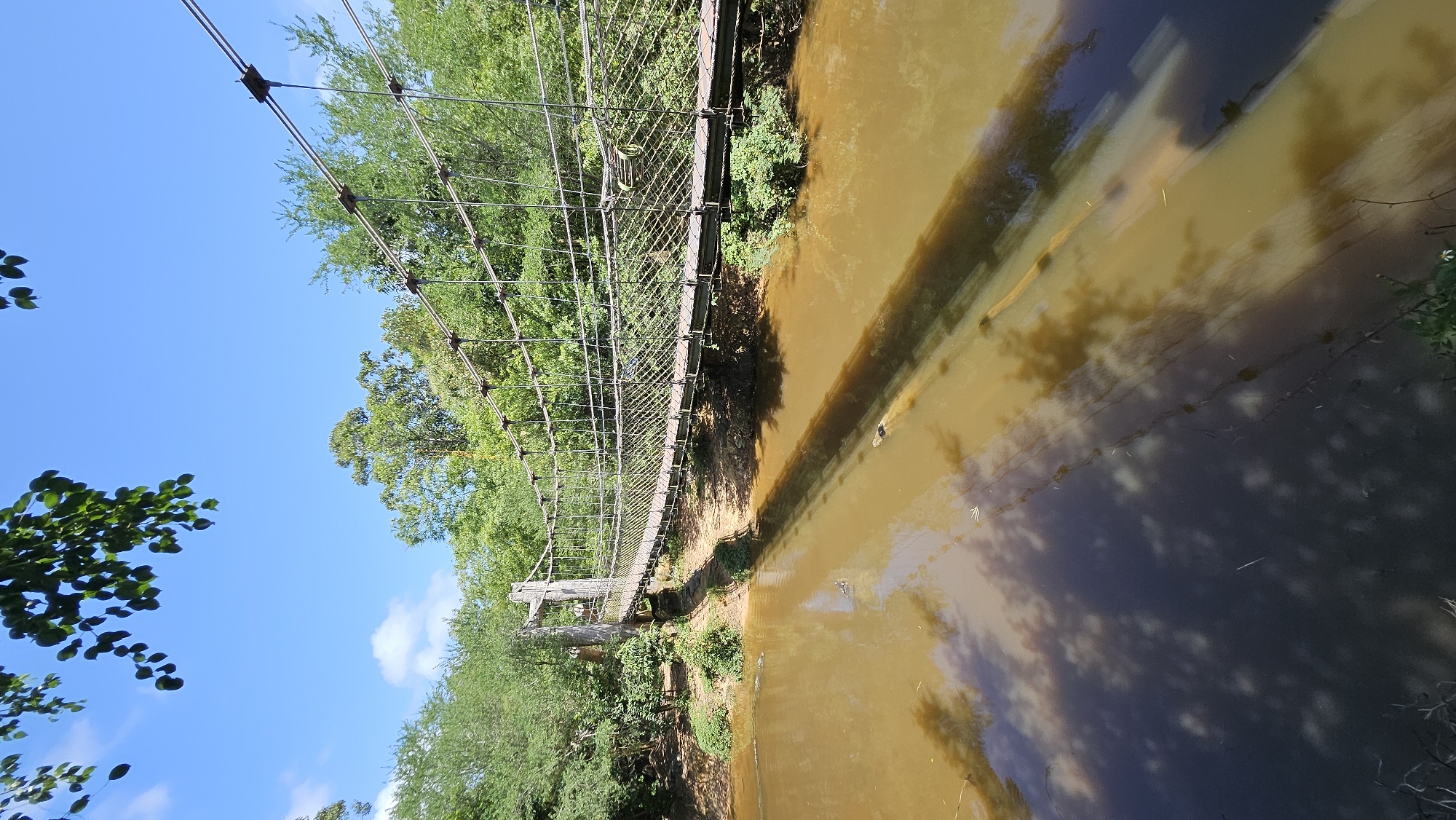 A wooden suspension bridge spans a muddy, brown river in a lush, green natural environment under a bright blue sky with scattered clouds. The bridge is constructed with thick ropes and wooden planks, and appears to be designed for foot traffic. On the river's surface, there are reflections of trees and the bridge itself. A fallen log lies partially submerged in the river near the bank. The surrounding area is densely vegetated with trees and bushes. There are no people visible in the image. The scene depicts a serene, natural landscape with a rustic bridge. This location is in Phu Quoc, Vietnam.