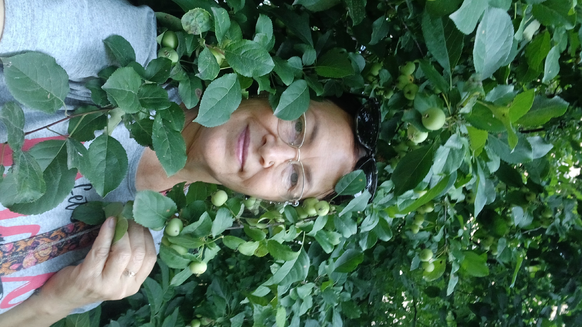 A middle-aged woman with glasses and sunglasses perched on her head is partially obscured by the leaves and small green fruits of a tree. She is wearing a gray t-shirt. The background is a dense arrangement of green leaves. The image was taken in Izhevsk, Russia.