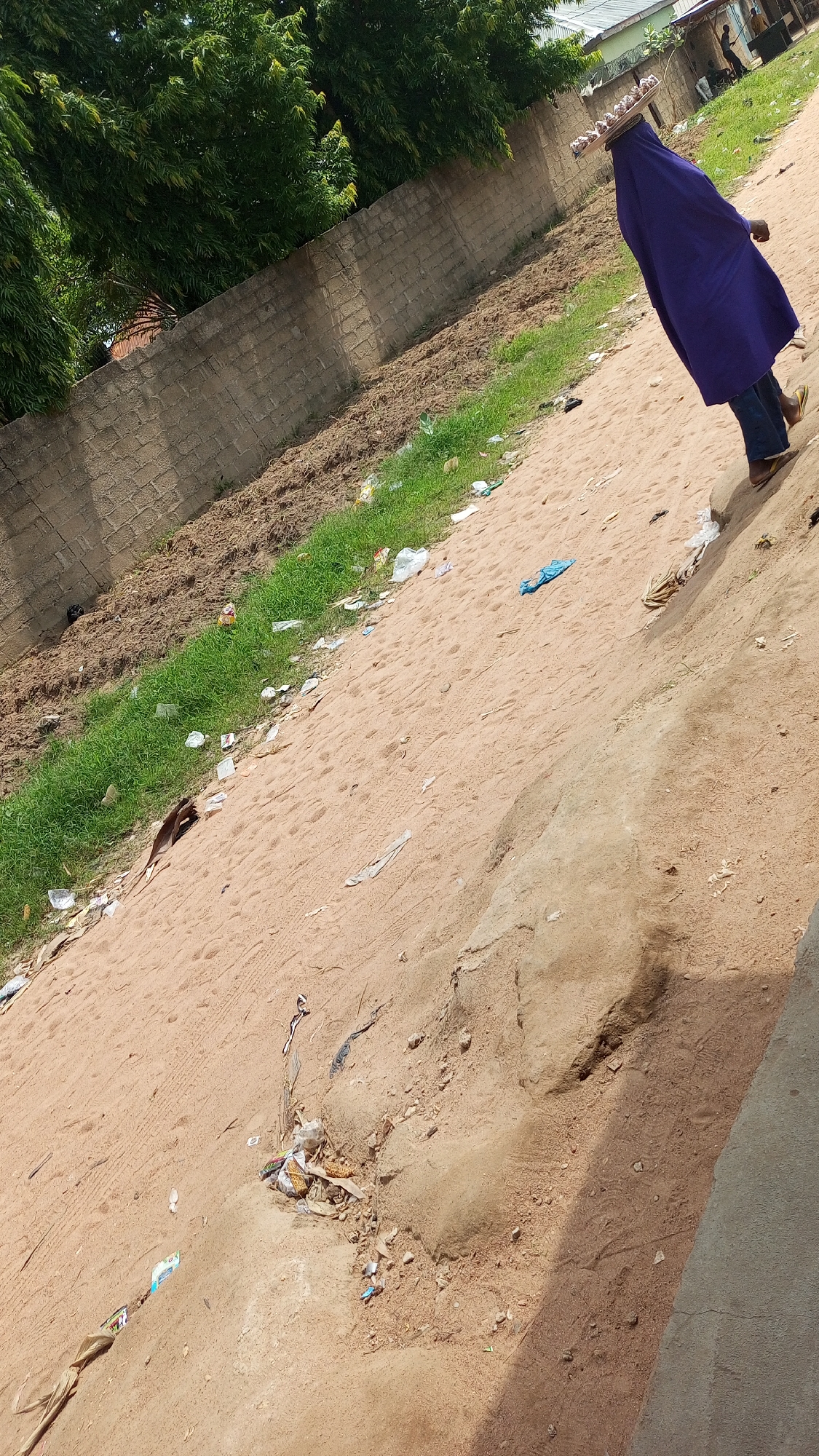 In Jalingo, Nigeria, a person wearing a purple veil and blue jeans walks along a sandy, dirt road. They are carrying a tray of items on their head, balanced precariously. The road is lined with a brick wall on the left and overgrown grass with scattered litter on the right. Trees with dense green foliage are visible in the background, suggesting a rural or semi-urban setting. The ground is uneven and appears to be a mixture of sand and soil, with some areas showing signs of erosion. The overall scene depicts a common sight in many parts of Nigeria, where street vendors navigate busy roads with their goods.