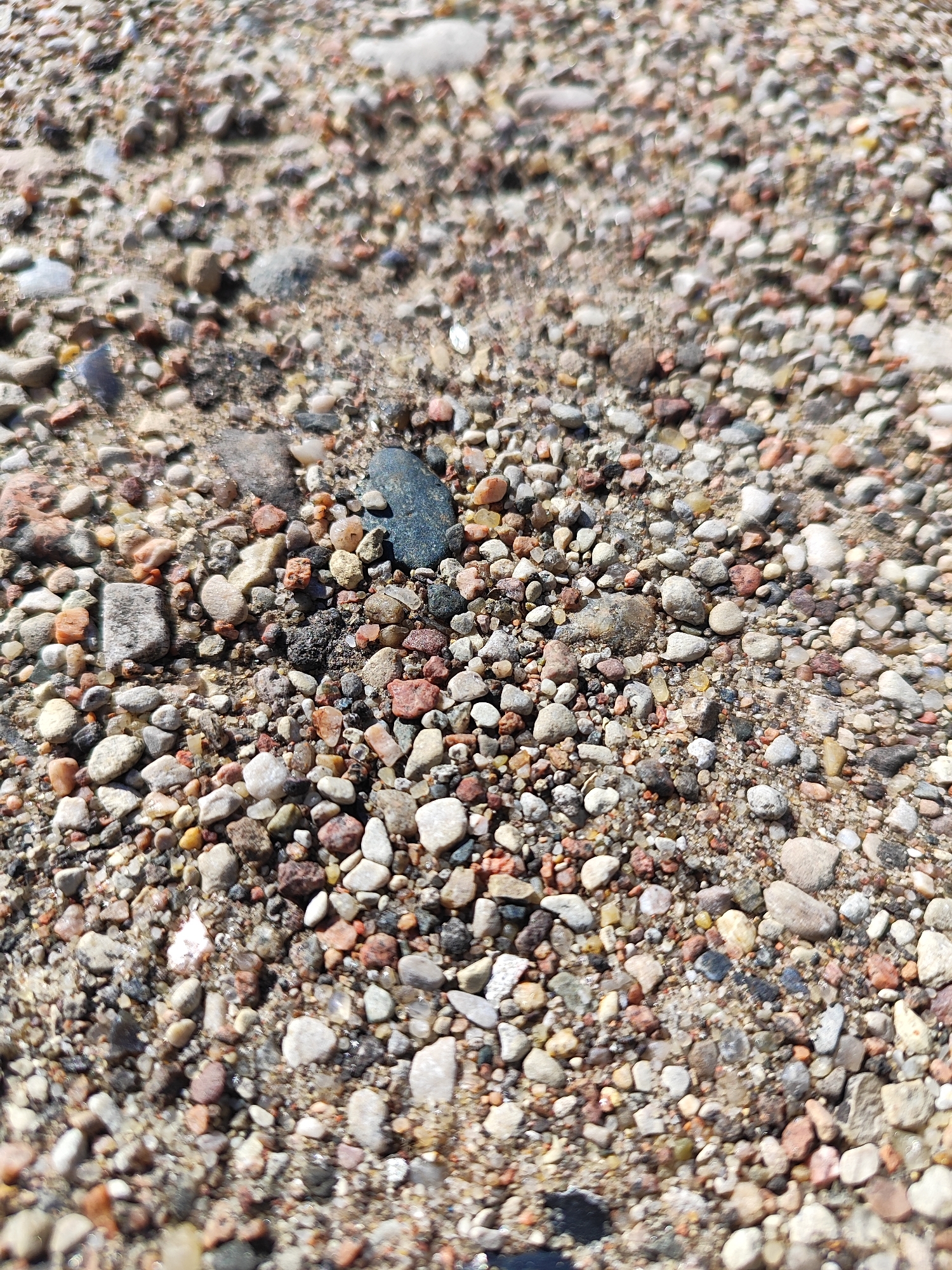 The image is a close-up, overhead shot of a gravelly surface. The gravel is composed of small, multi-colored stones, including shades of gray, white, red, and brown, mixed with sand. Some of the stones are smooth and rounded, while others are angular. A single, dark, oblong stone is prominently featured in the upper-middle section of the frame. The lighting suggests it is daytime, with some bright highlights on the stones, possibly indicating sunlight reflecting off wet surfaces. The scene appears to be outdoors, on a ground surface. There are no people, animals, or man-made structures visible. The location in the city of Hrodna, Belarus is not discernable from the visual information provided.