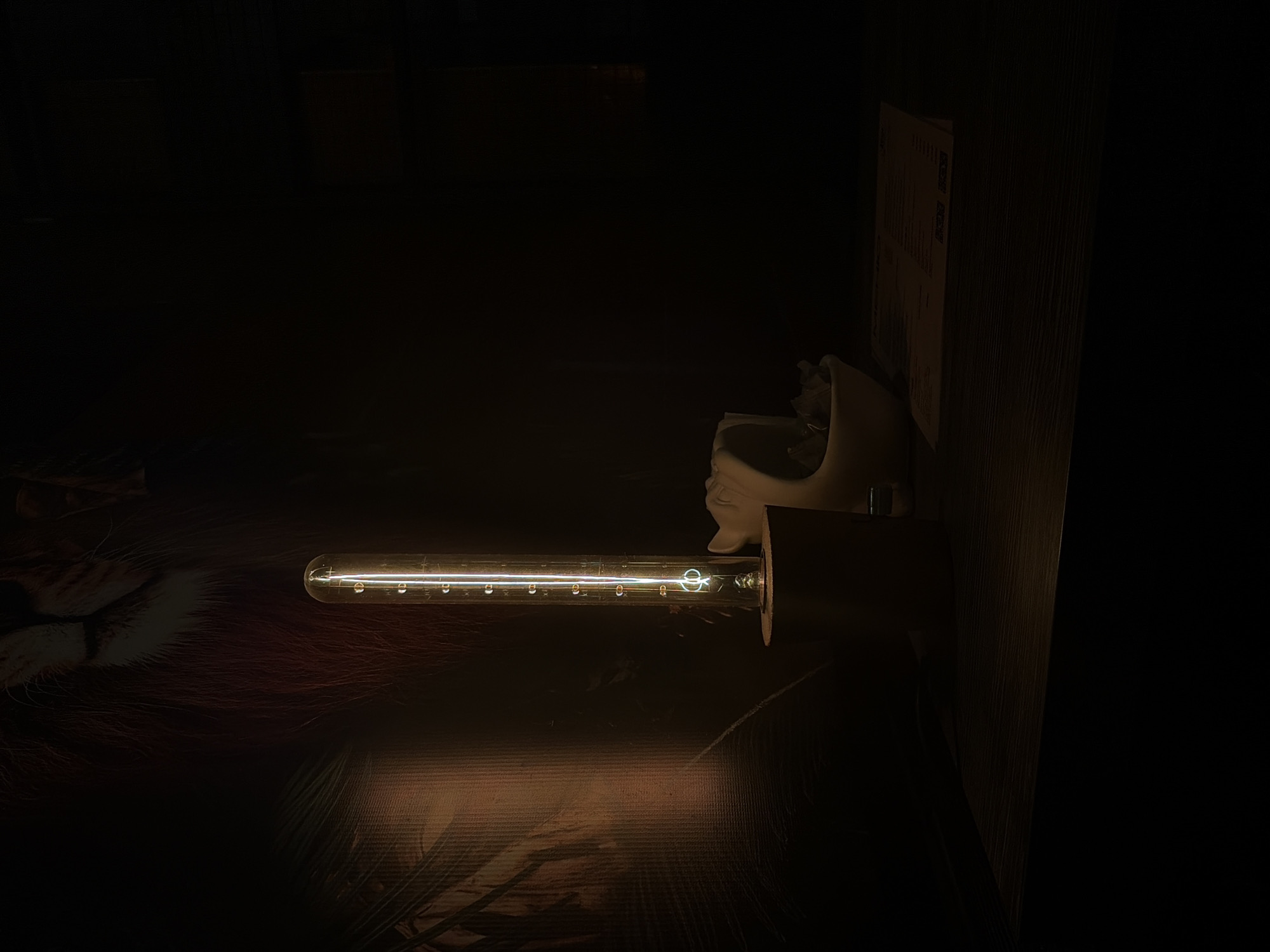The image depicts a dimly lit table in an indoor setting, possibly a restaurant or bar, with the city of Unknown, Unknown as the location. In the center of the frame is a tall, cylindrical incandescent light bulb with a visible filament, emitting a warm yellow glow. The bulb is mounted on a dark, cylindrical base. To the right of the light bulb, a white decorative object resembling a human jawbone or a similar anatomical model is visible, containing a few crumpled pieces of paper. In front of these objects, a menu or document lies open on the dark wooden surface of the table. The background features a textured wall with what appears to be a graphic of a lion's head and some foliage, illuminated by the light from the bulb. The overall ambiance is dark and atmospheric, with the light source creating strong contrasts and shadows. No people are present in the scene.