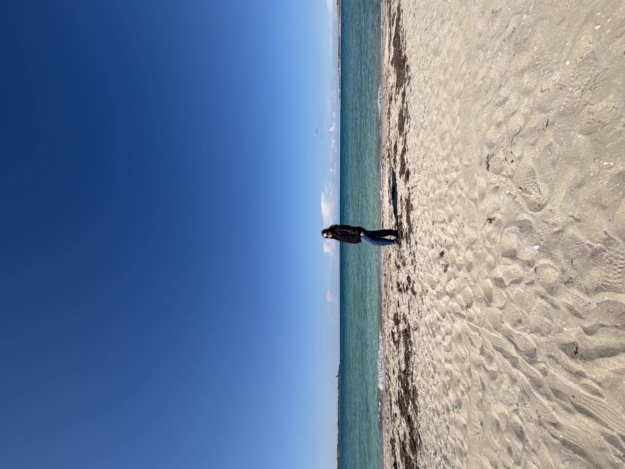 A person stands on a sandy beach in Chornomorskoe, Ukraine. The water is a turquoise color and the sky is clear blue. The beach is composed of sand and seaweed.