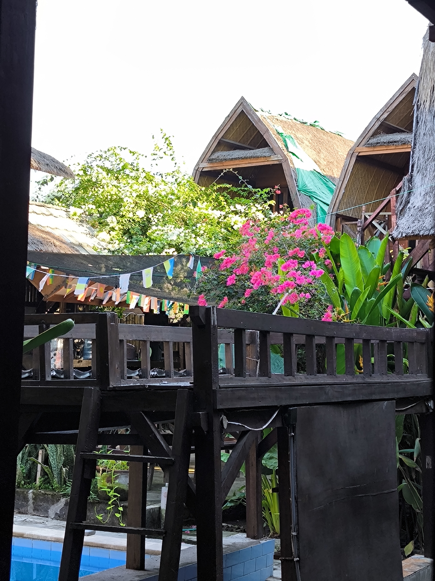 The photograph presents a scene from an unknown location in Indonesia, likely a tourist accommodation. The frame is partially obscured by a dark-colored wooden structure in the foreground, possibly part of a balcony or veranda. A ladder-like structure is visible, leading down to what appears to be a swimming pool area.
In the background, there are several small buildings with thatched roofs, indicating a tropical or resort-like setting. The roofs are covered with light-colored thatch, and one roof is partially covered with green tarp. Lush vegetation is abundant, including flowering plants with bright pink blossoms and large-leaved tropical plants. A string of colorful pennants hangs between some of the structures, adding a festive touch. The scene is captured in daylight, although the sky is obscured by the structures and vegetation. The overall impression is that of a relaxed, tropical environment.