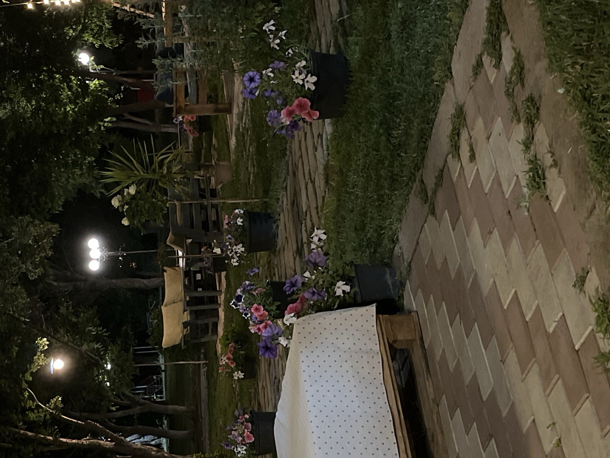 The image depicts an outdoor seating area at night, likely in Gladzor, Armenia, given the location context. The scene is illuminated by various light fixtures, including string lights overhead and a cluster of spotlights in the background among trees. The setting appears to be a garden or patio area, with a paved pathway made of light and dark brown rectangular stones laid in a herringbone pattern. Grass grows between some of the stones, suggesting it is an outdoor, natural environment.
In the foreground, a table is partially visible, covered with a white cloth adorned with small grey polka dots. This table is placed on what appears to be a wooden pallet. Behind the table, several black planters hold blooming petunias in vibrant shades of pink, purple, and white. Further back, more planters and potted plants are scattered around the area.
The background reveals more of the garden setting with trees and some outdoor furniture, including what looks like a couch with a light-colored cushion. The overall atmosphere is serene and inviting, suggesting a place for relaxation or socializing after dark. The time of day is clearly night due to the artificial lighting. There is no visible text in the image. The activity taking place is simply the presence of an occupied outdoor space at night.