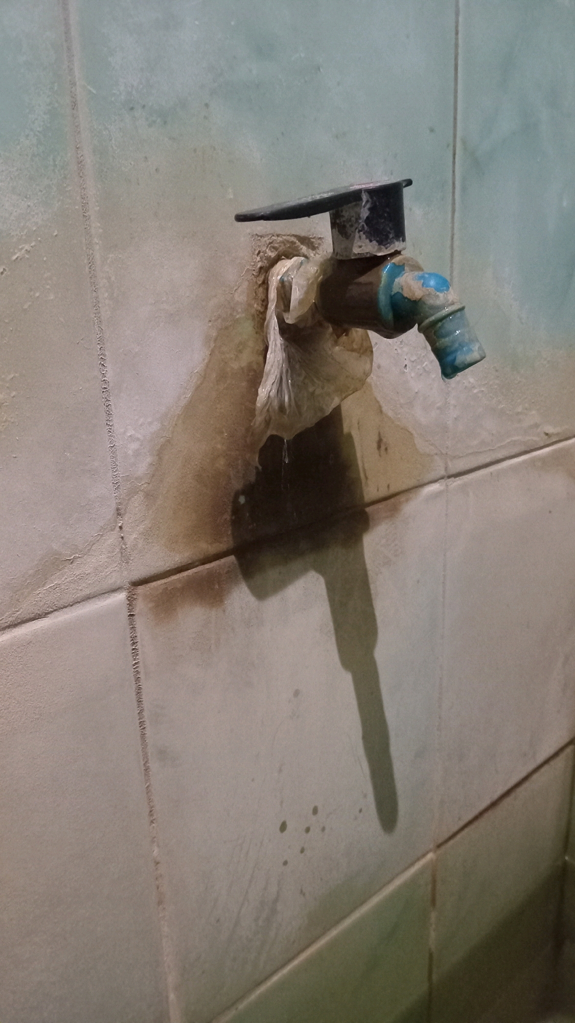 A close-up, eye-level shot depicts a leaky faucet on a tiled wall. The faucet, made of brass and plastic, has a blue nozzle. It is wrapped in a white plastic bag, presumably as a temporary fix for the leak. Water drips from the faucet, forming a dark stain on the beige and green tiled wall, indicating an ongoing issue. The tiles are old and appear worn. A shadow of the faucet is cast onto the wall. The scene is indoors, likely a bathroom or kitchen, in Randuagung, Indonesia.