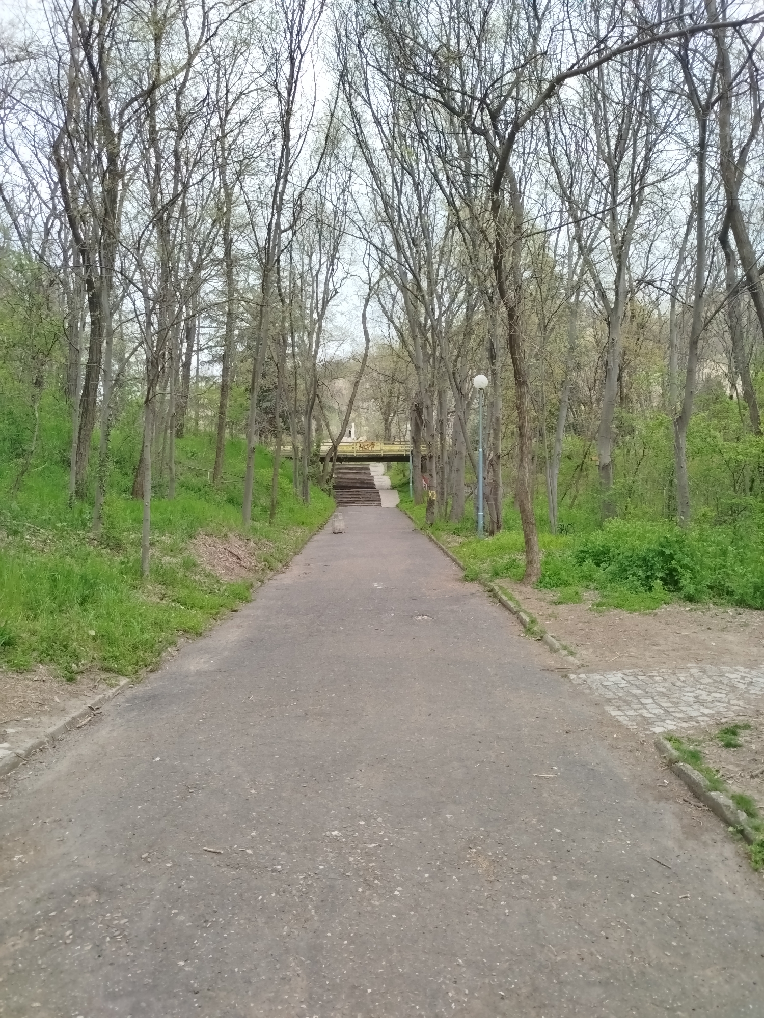 The image depicts a straight, asphalt pathway leading uphill through a wooded area. Bare trees line both sides of the path, with some green foliage beginning to emerge on the branches and on the ground. A lamp post is visible along the right side of the path. In the distance, a set of stairs and a bridge-like structure can be seen. The pathway is situated in the city of Plovdiv, Bulgaria.
