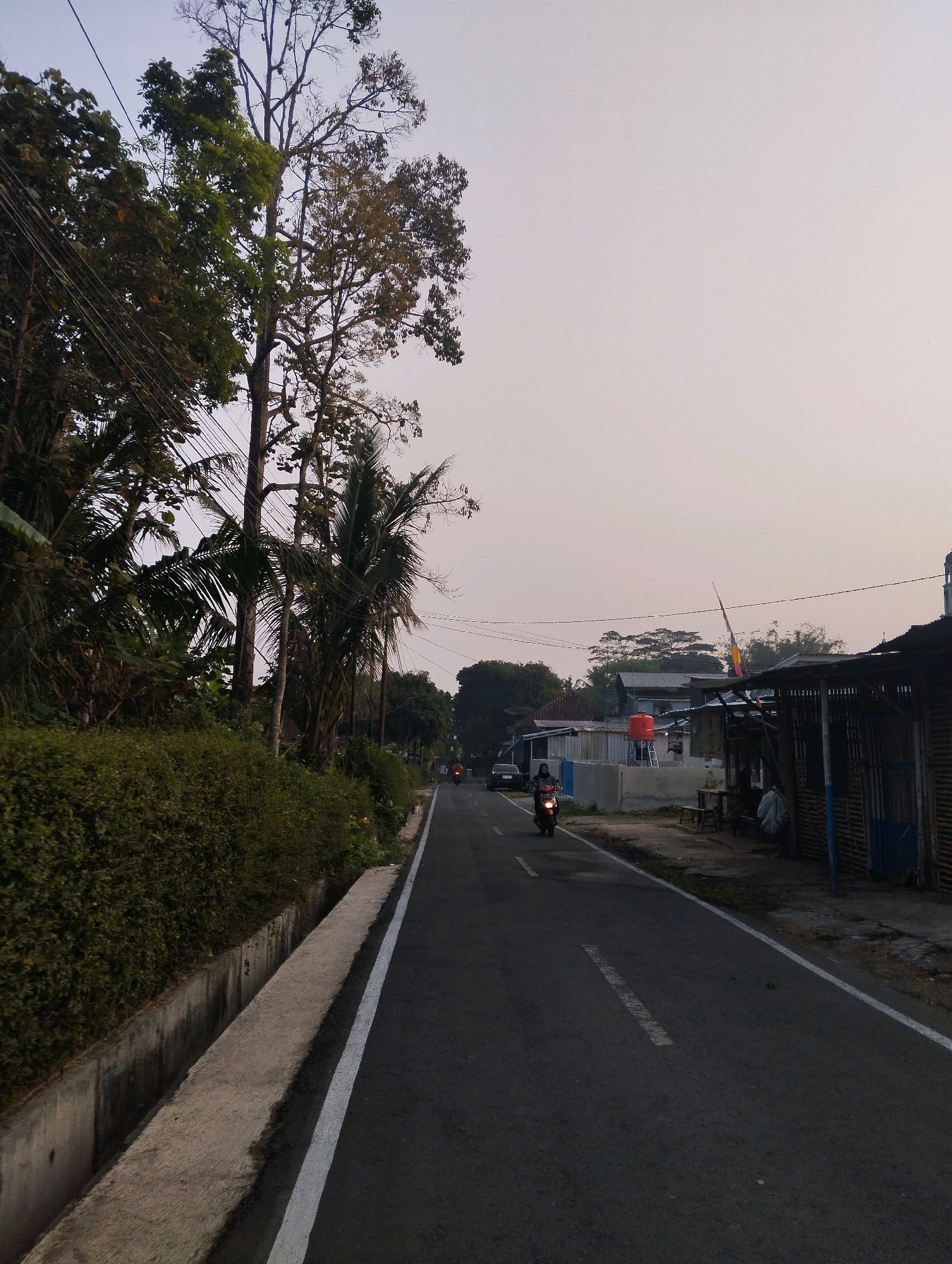 The image depicts a street scene in Salatiga, Indonesia, likely in the late afternoon or early morning given the soft light and hazy sky. A paved road with a white line marking the edge runs through the frame, bordered on the left by a concrete drainage ditch and a dense, green hedge. Tall trees with sparse foliage and some palm trees line the left side of the road, interspersed with utility poles and power lines.
On the right side of the road, a few buildings are visible. These appear to be simple structures, some with corrugated metal roofs. One building has a prominent red water tank. A person is riding a motorcycle in the distance, heading away from the camera. Another motorcycle is parked or moving slowly in the background. The overall impression is of a rural or semi-urban area on the outskirts of a city.