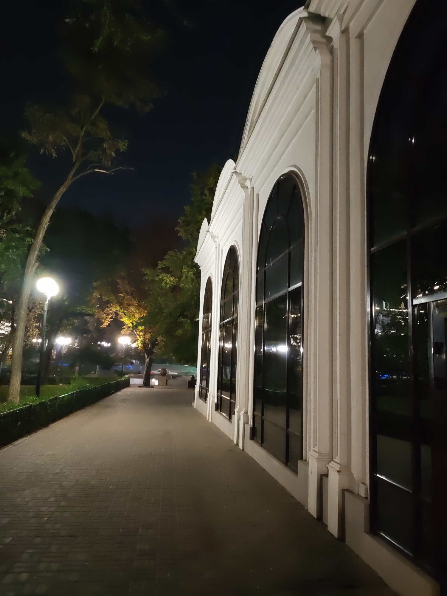 The image shows a nighttime scene of a paved walkway next to a building with large arched windows. The walkway is made of dark paving stones and is illuminated by streetlights. Trees line the walkway on the left side, with some autumn foliage visible on one tree. The building on the right is white and features classical architectural elements, with the dark windows reflecting the surrounding environment. The scene appears to be an urban park or public space.
This location is identified as the embankment of the Don River in Rostov-on-Don, Russia. Specifically, the building with the arched windows is the Rostov Regional Museum of Fine Arts, formerly the S.I. Grosberg City Library. The walkway is part of the embankment promenade.