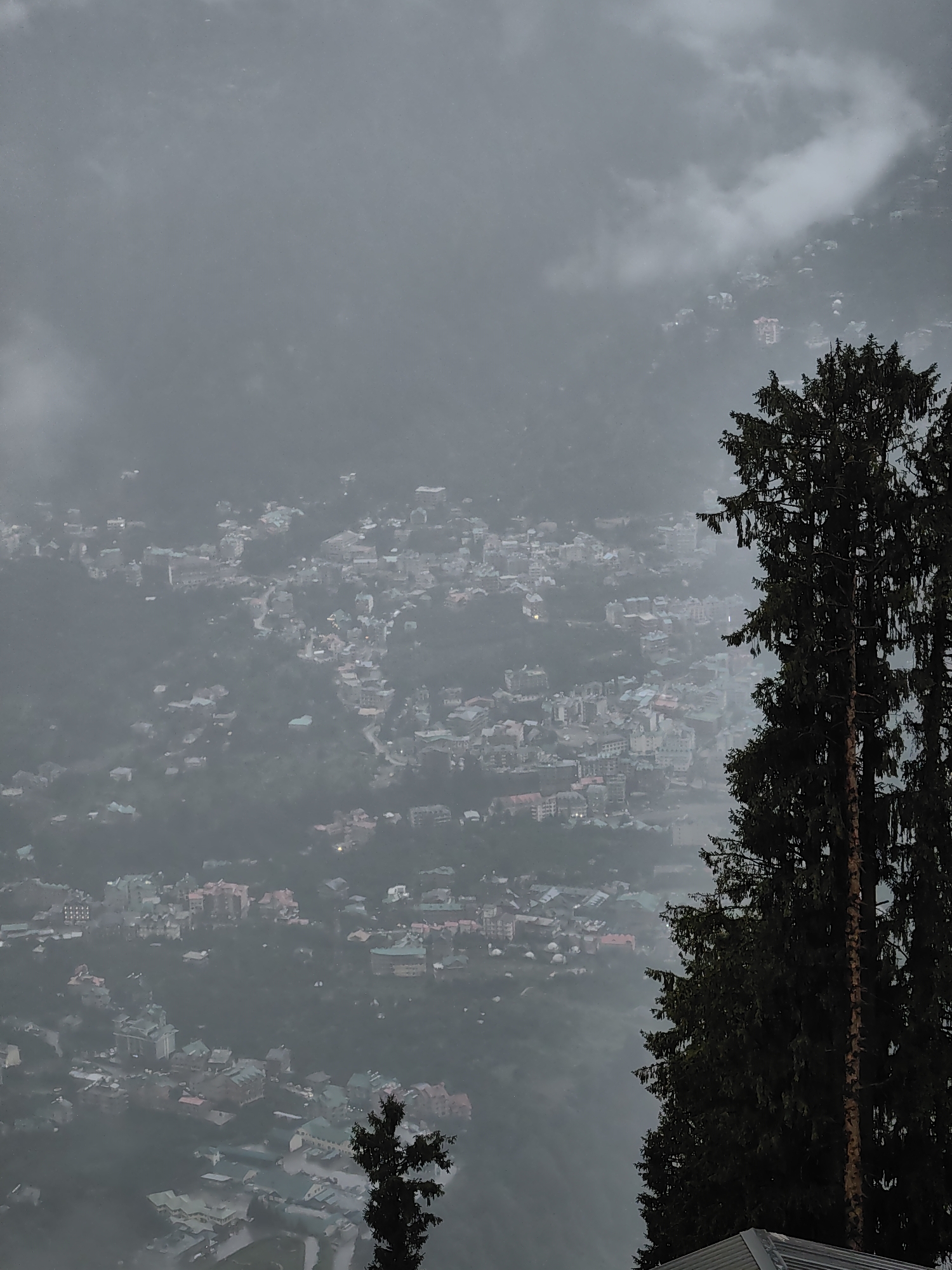 An aerial, high-angle shot captures a misty, overcast day in Prini, India. The scene is dominated by a dense, sprawling town nestled into a mountainside. Buildings of varying sizes and colors, many with light-colored walls and darker roofs, are clustered together, interspersed with patches of dark green foliage. Roads wind through the town, and some buildings are illuminated with artificial lights. The lower right quadrant of the image features the dark, textured bark of a tall evergreen tree, its branches extending upwards and partially obscuring the view of the town. The background is a soft, hazy gray, indicative of heavy mist or fog, with hints of lighter clouds. A smaller evergreen tree is visible in the lower left quadrant. The overall impression is one of a secluded, somewhat remote mountain community shrouded in atmospheric conditions.
