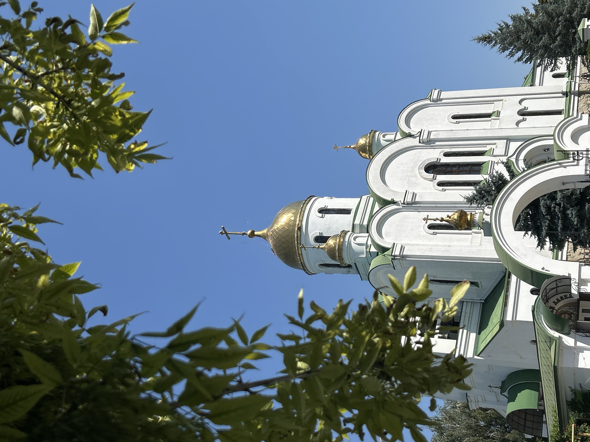 The image shows the Resurrection Cathedral in Tiraspol, Moldova, on a clear, sunny day. The white church features multiple golden domes topped with crosses and green roofs. Green foliage from trees partially obscures the view of the cathedral, framing the top of the image. The sky is a vibrant blue. No people or animals are visible in the scene.